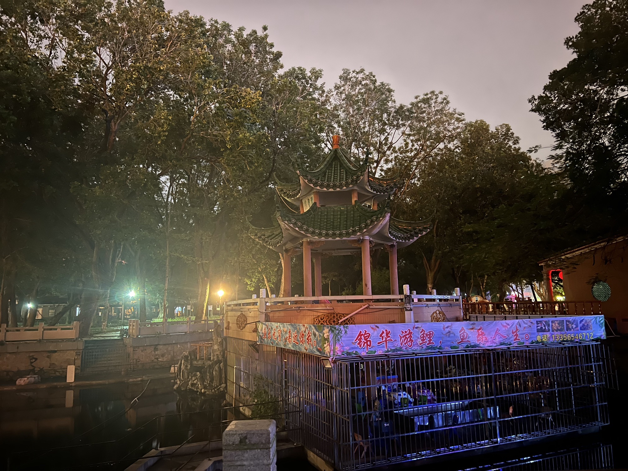 人民公园旅行图片 2
