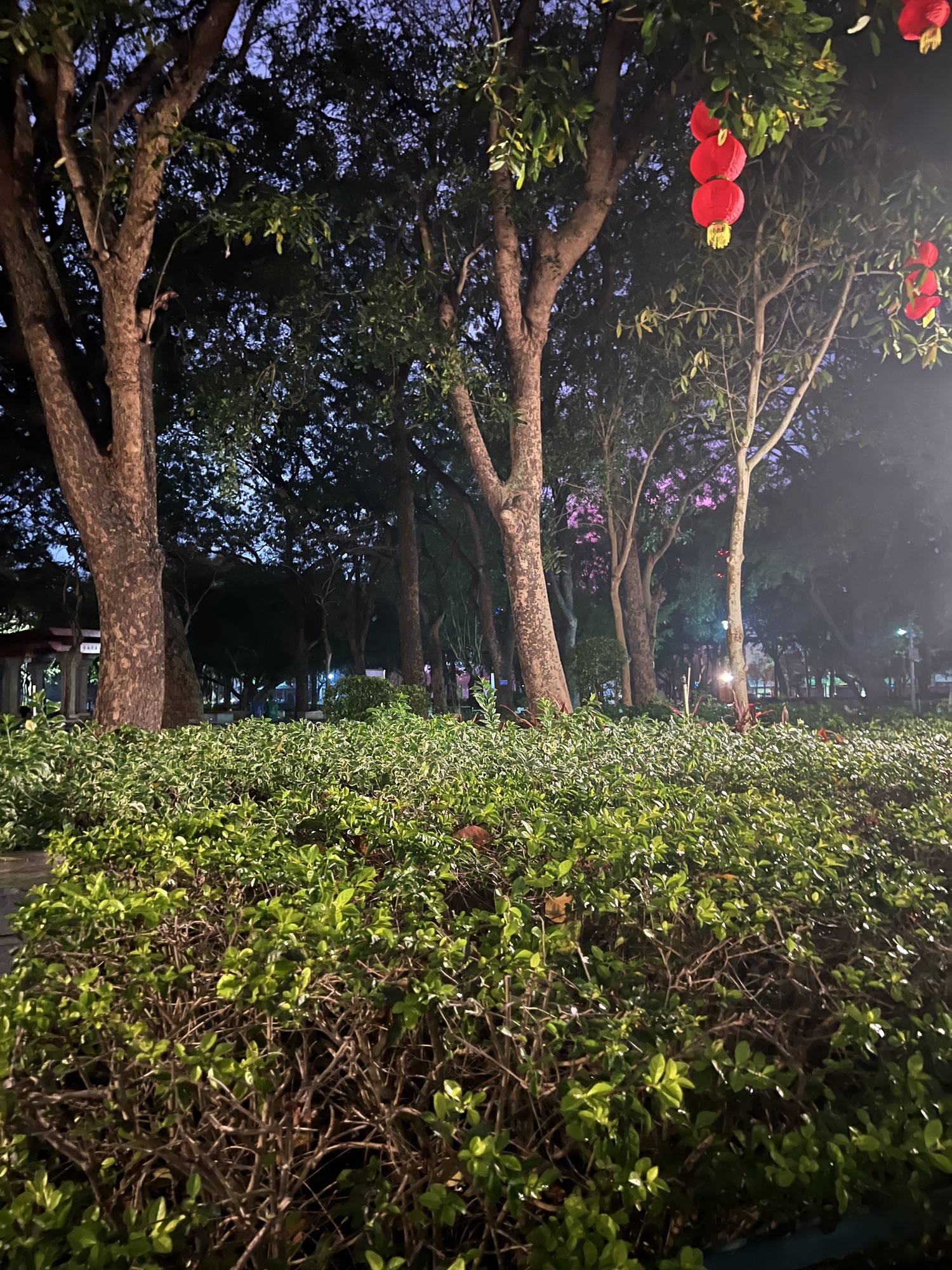 人民公园旅行图片 3