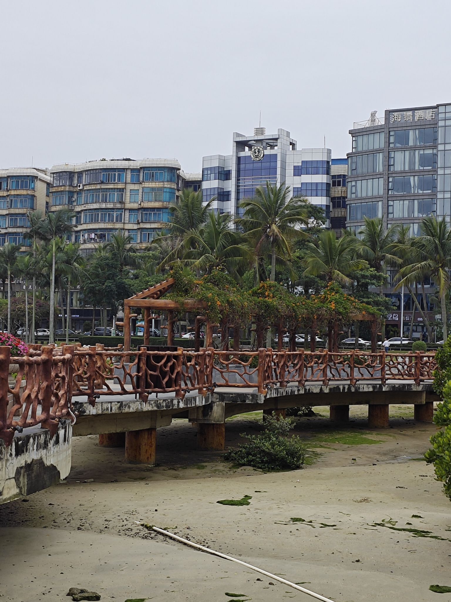 霞山观海长廊旅行图片 3