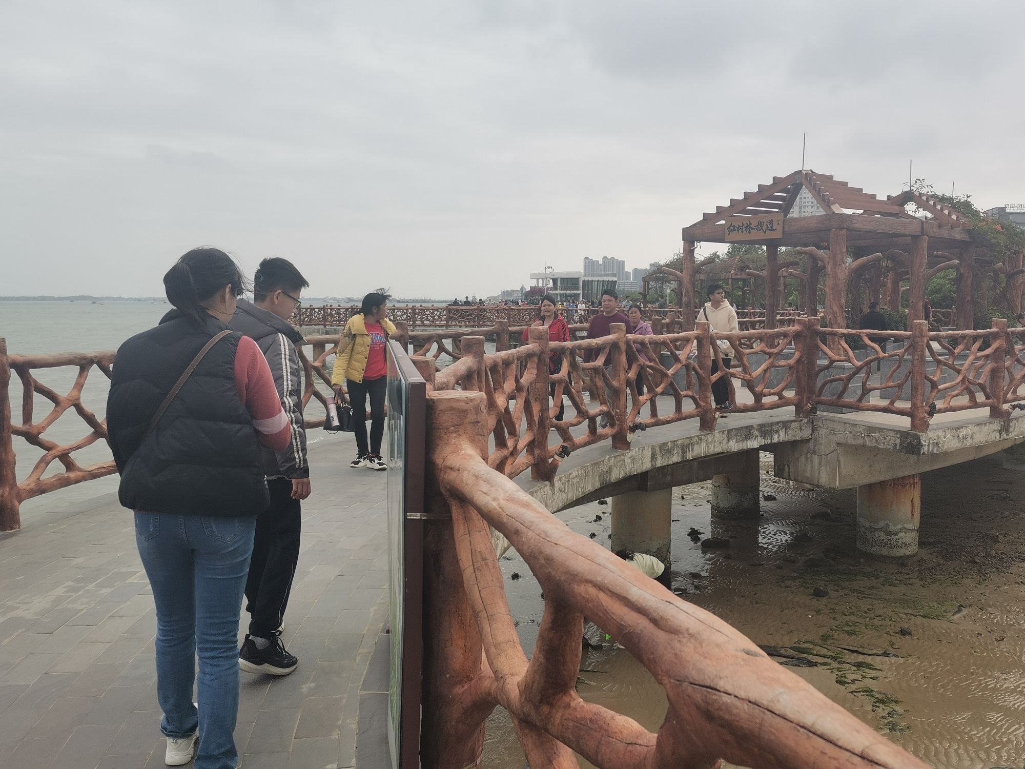霞山观海长廊旅行图片 2