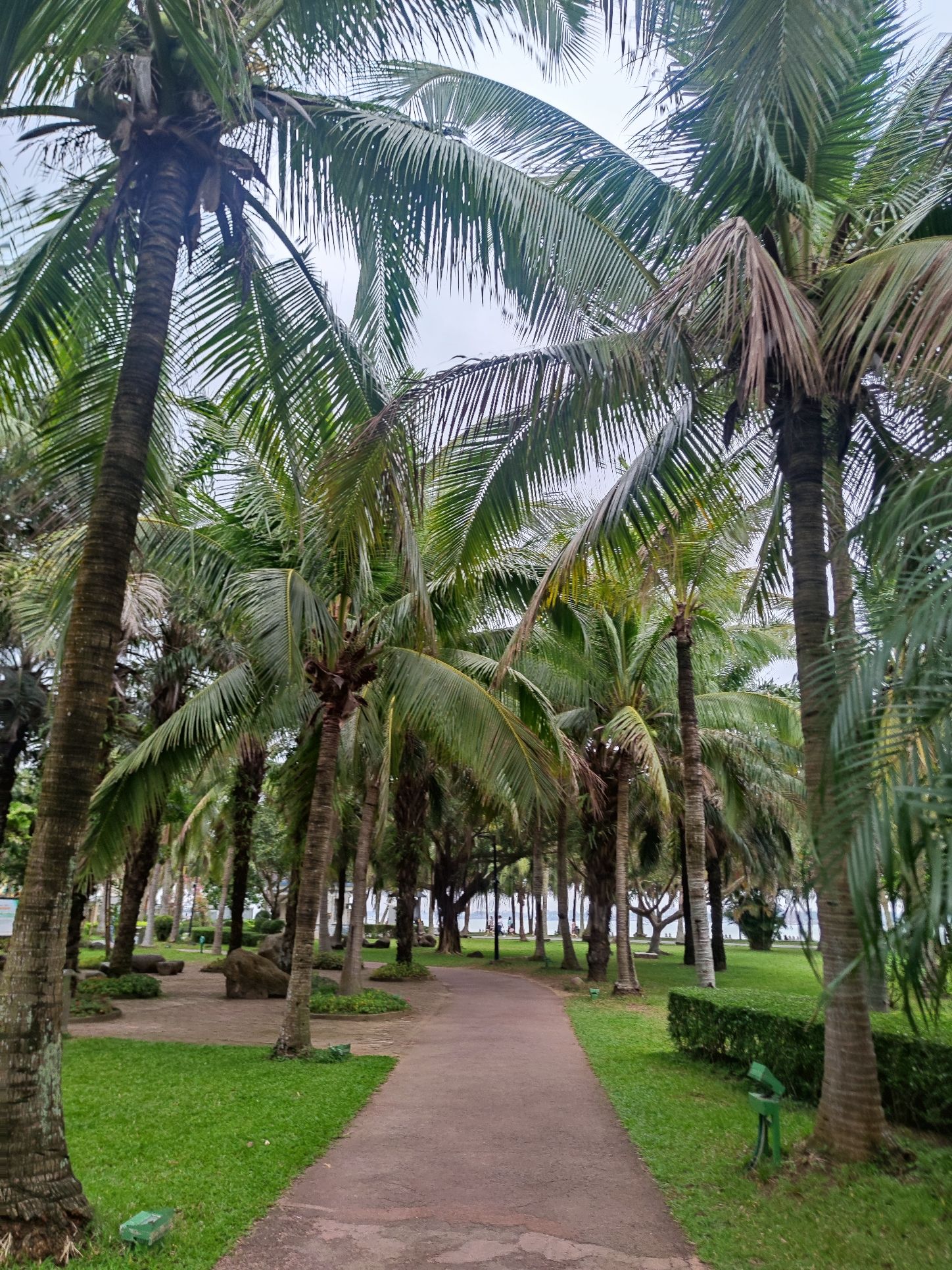 霞山观海长廊旅行图片 1
