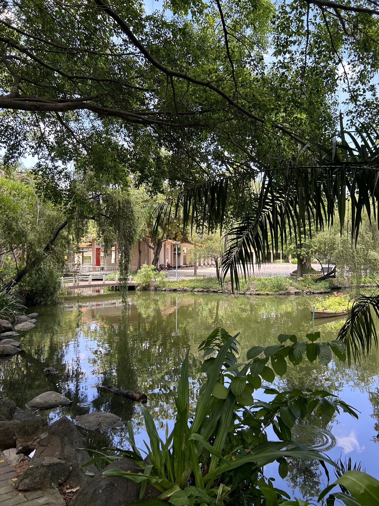 霞山绿苑旅行图片 2