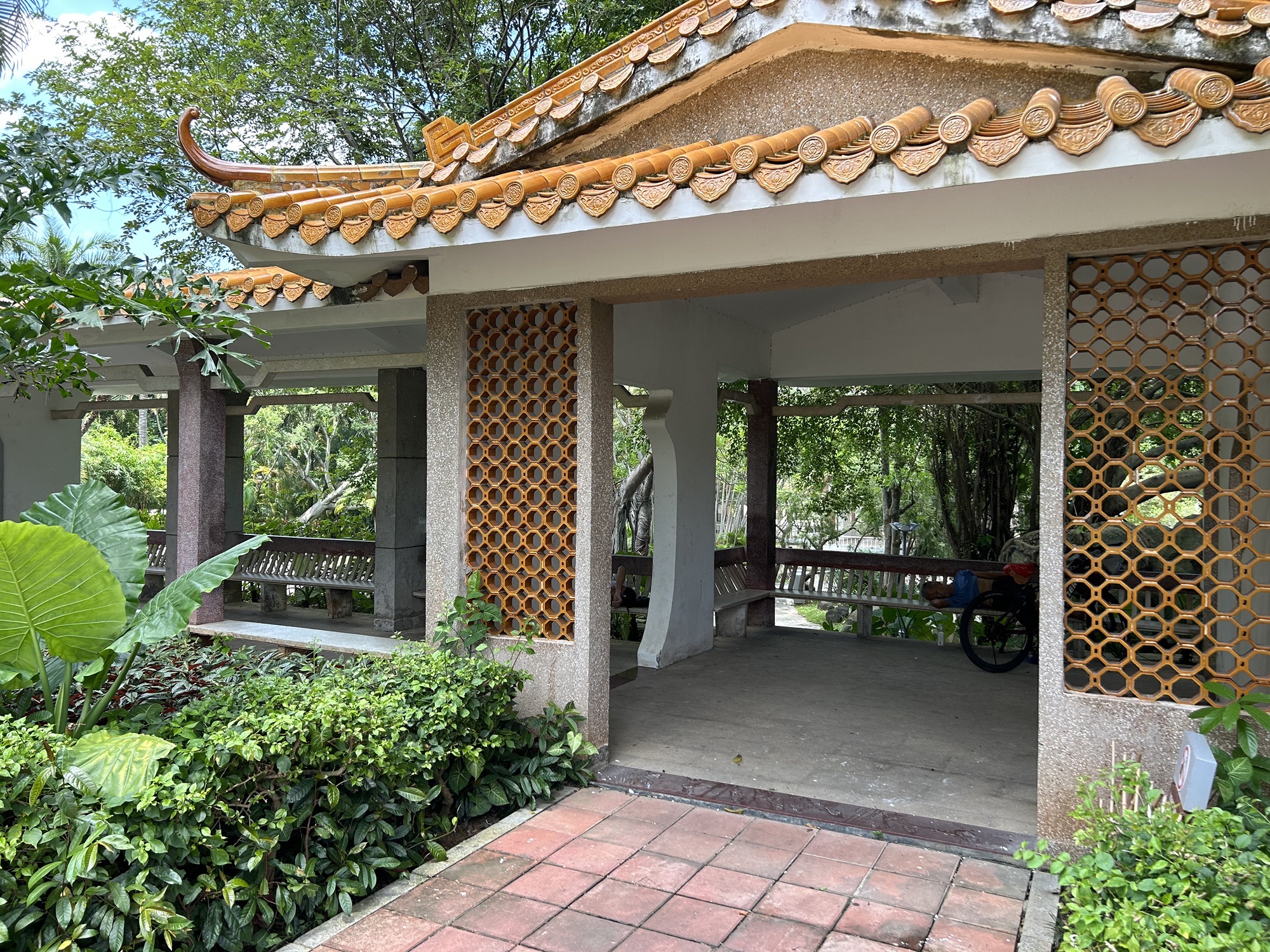 霞山绿苑旅行图片 3