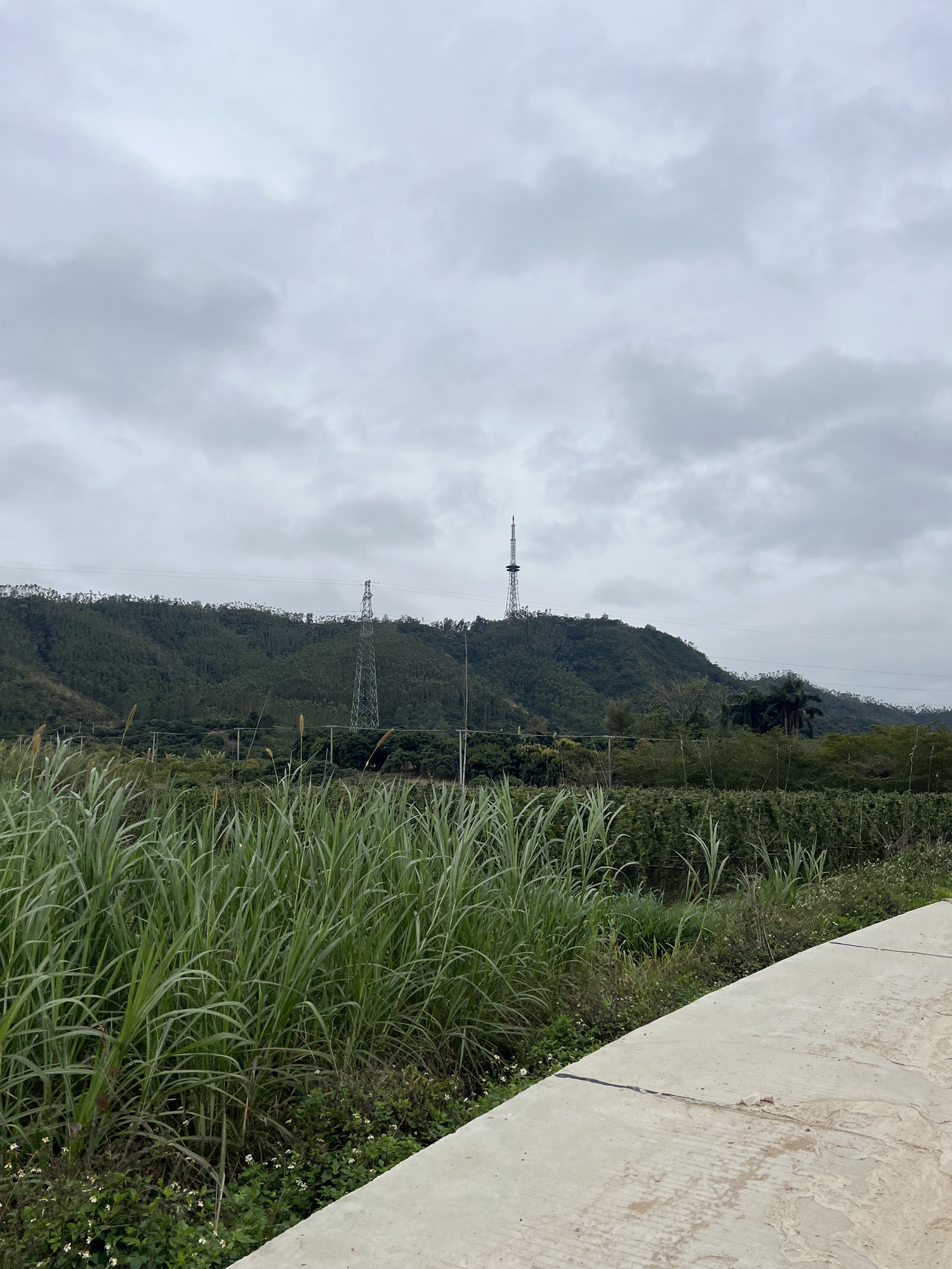塘山岭风景区旅行图片 3