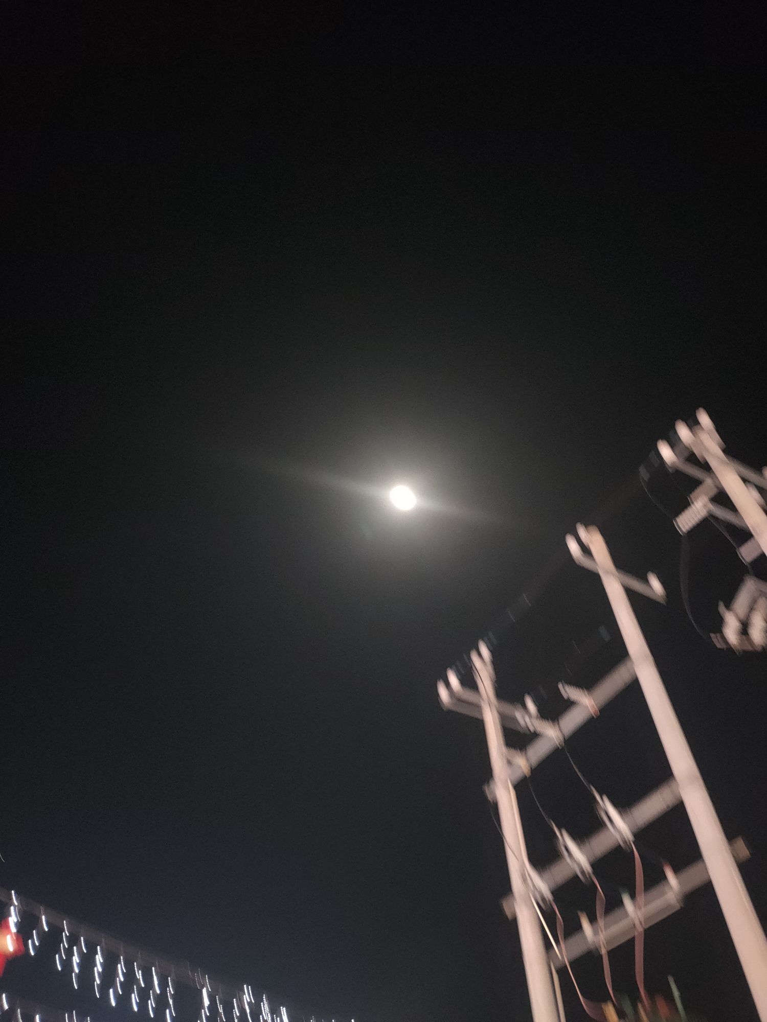 徐闻文化广场旅行图片 3