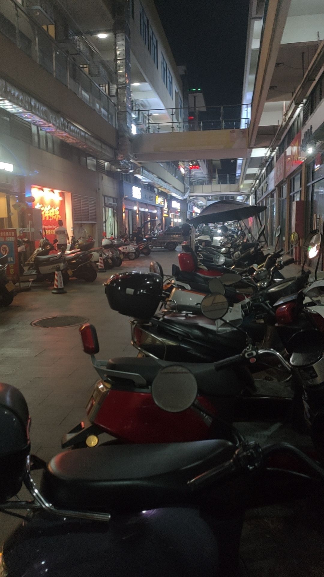 徐闻文化广场旅行图片 2