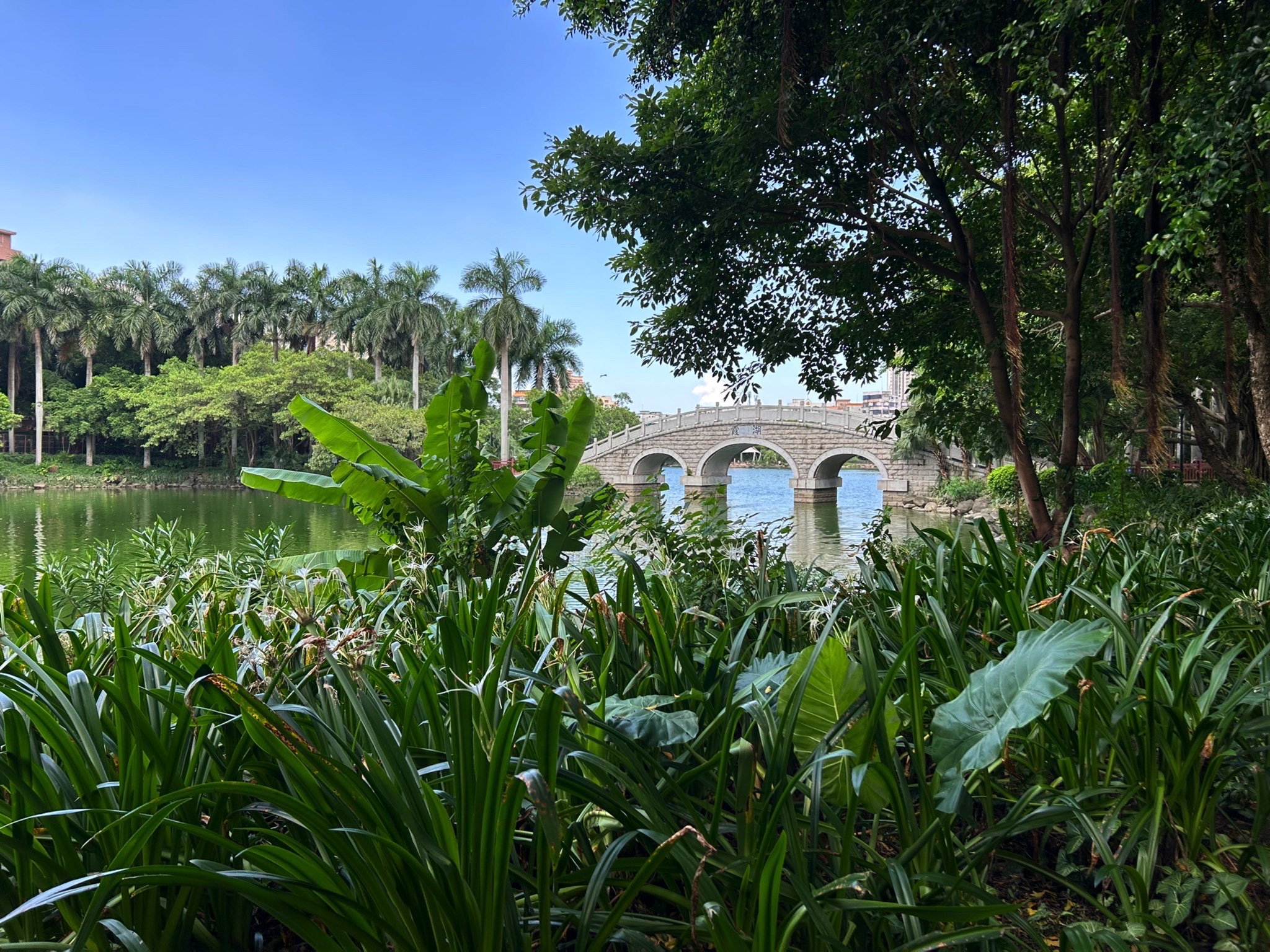 霞湖公园旅行图片 1