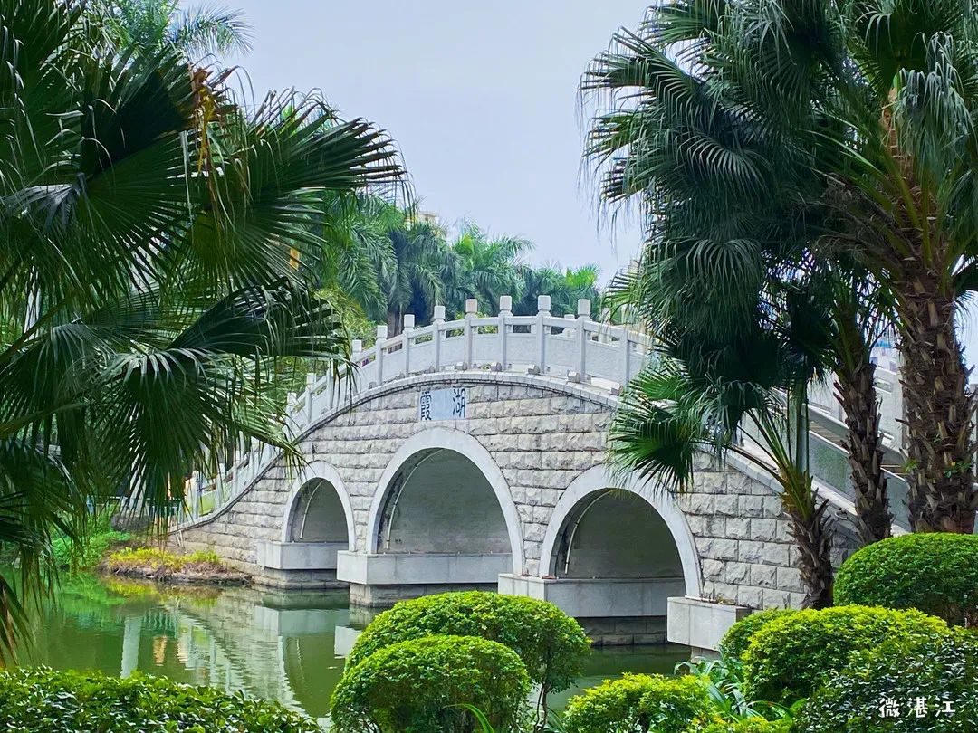 霞湖公园旅行图片 3