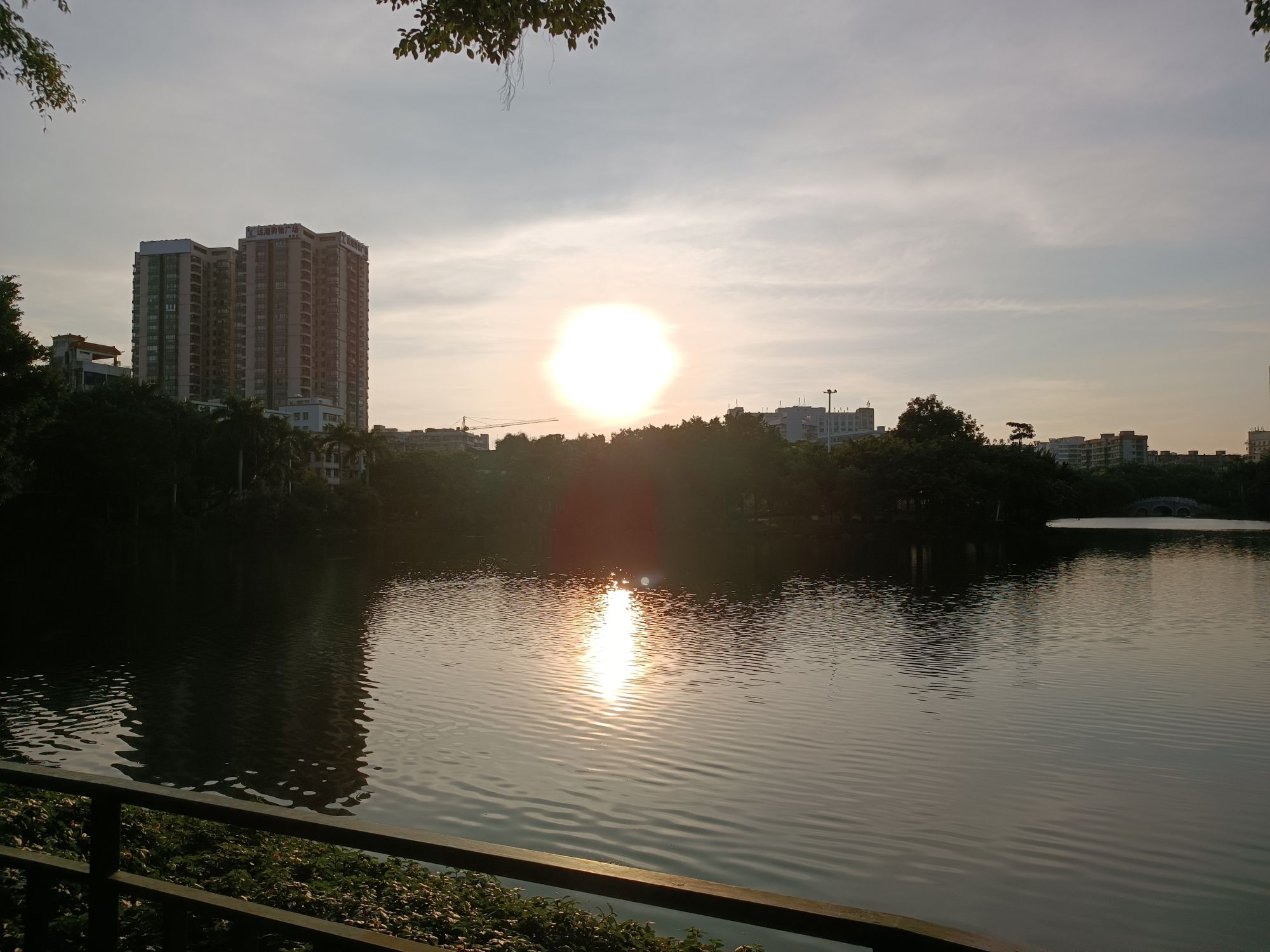 霞湖公园旅行图片 2