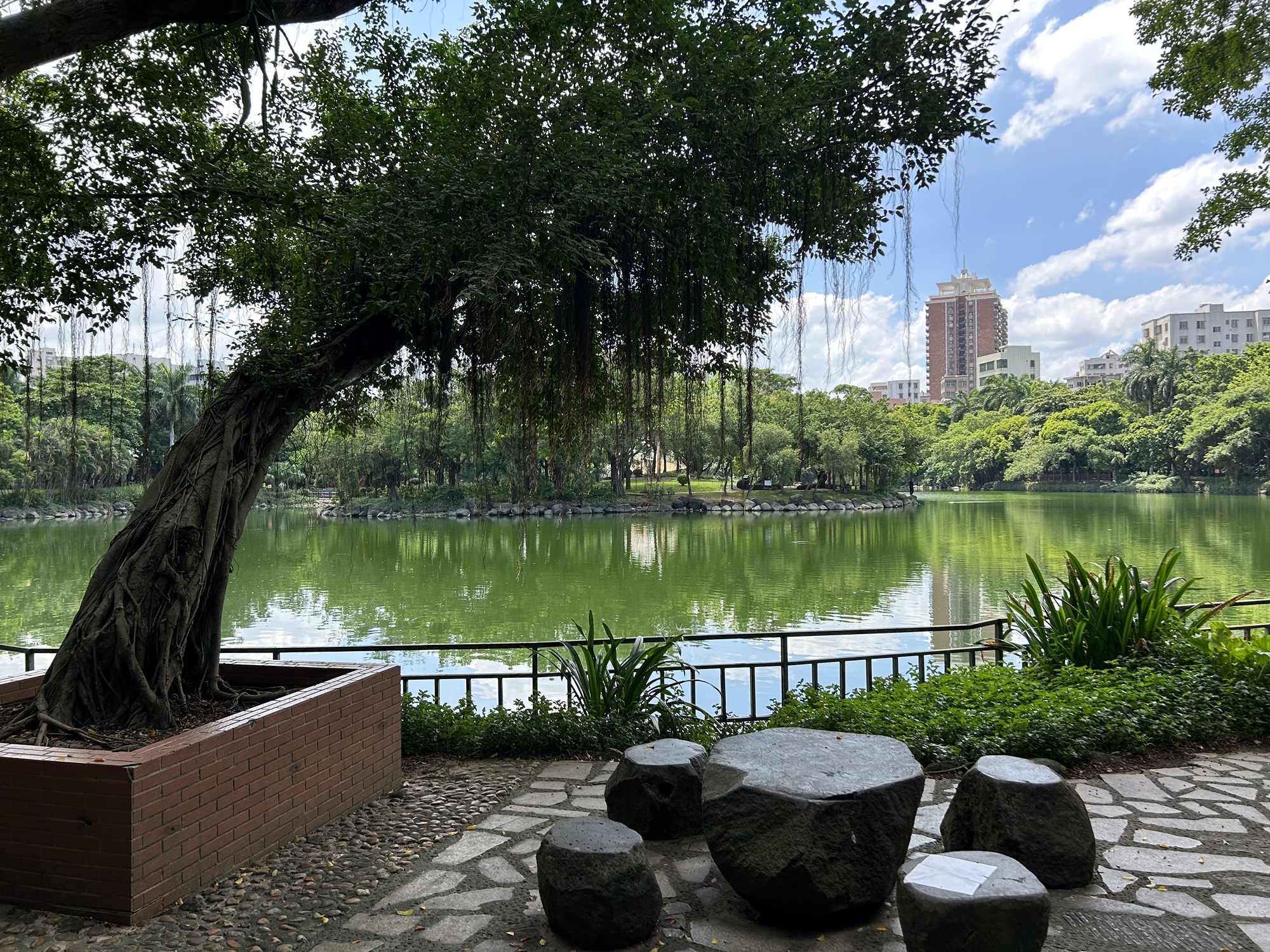 霞湖公园旅行图片 3