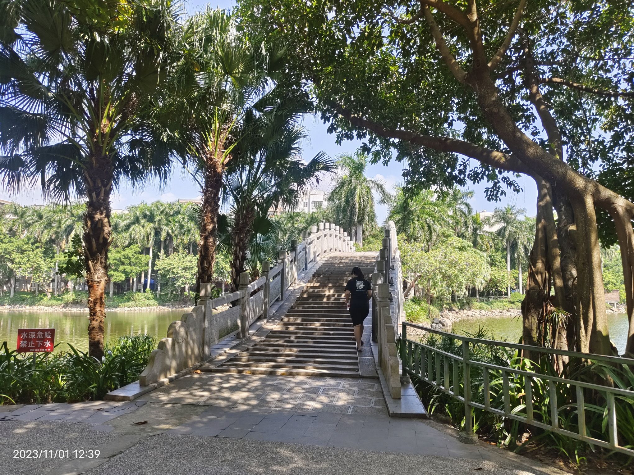 霞湖公园旅行图片 1