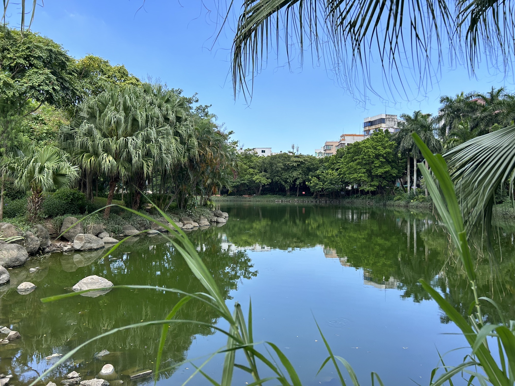 霞湖公园旅行图片 2