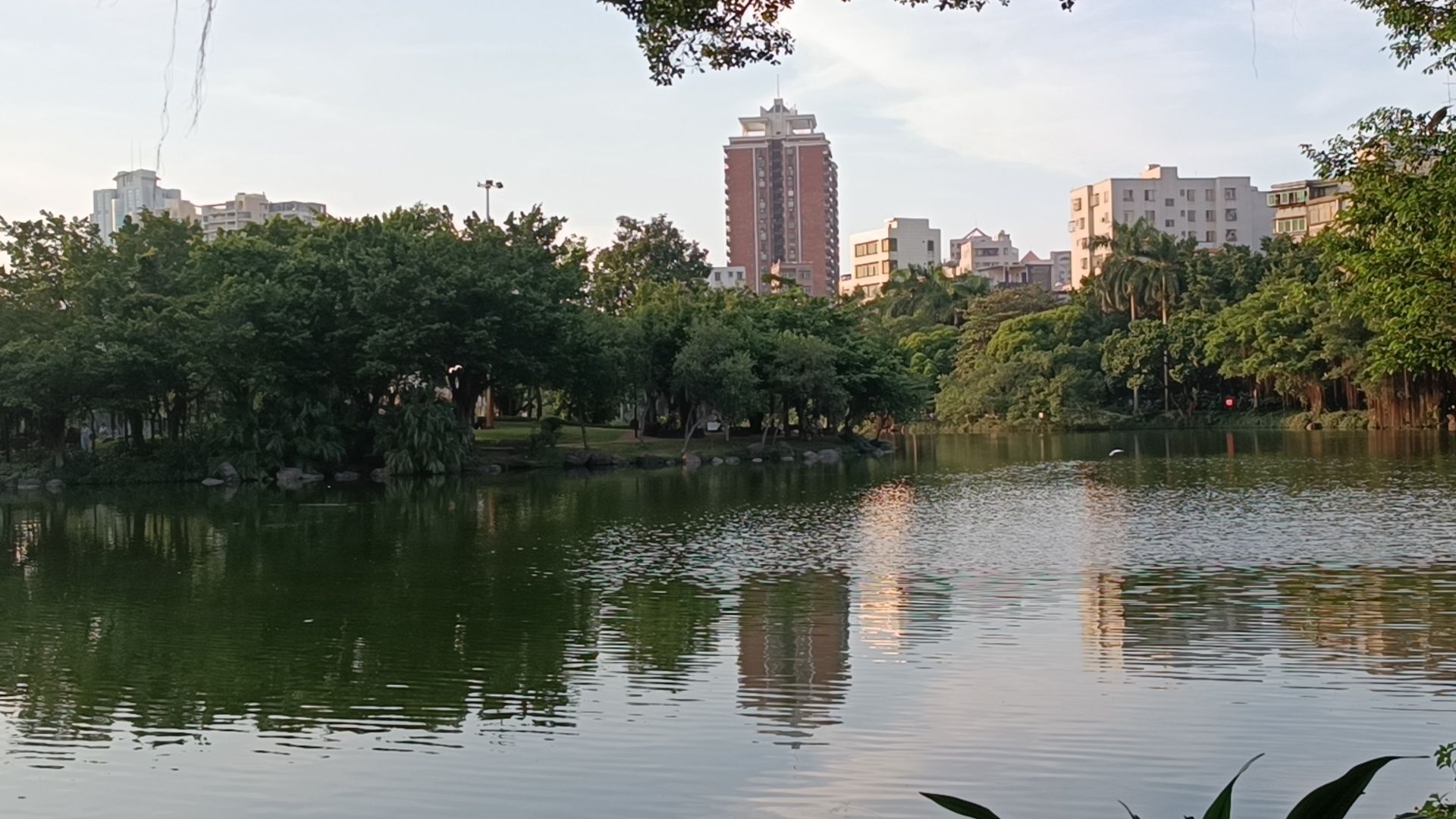 霞湖公园旅行图片 3