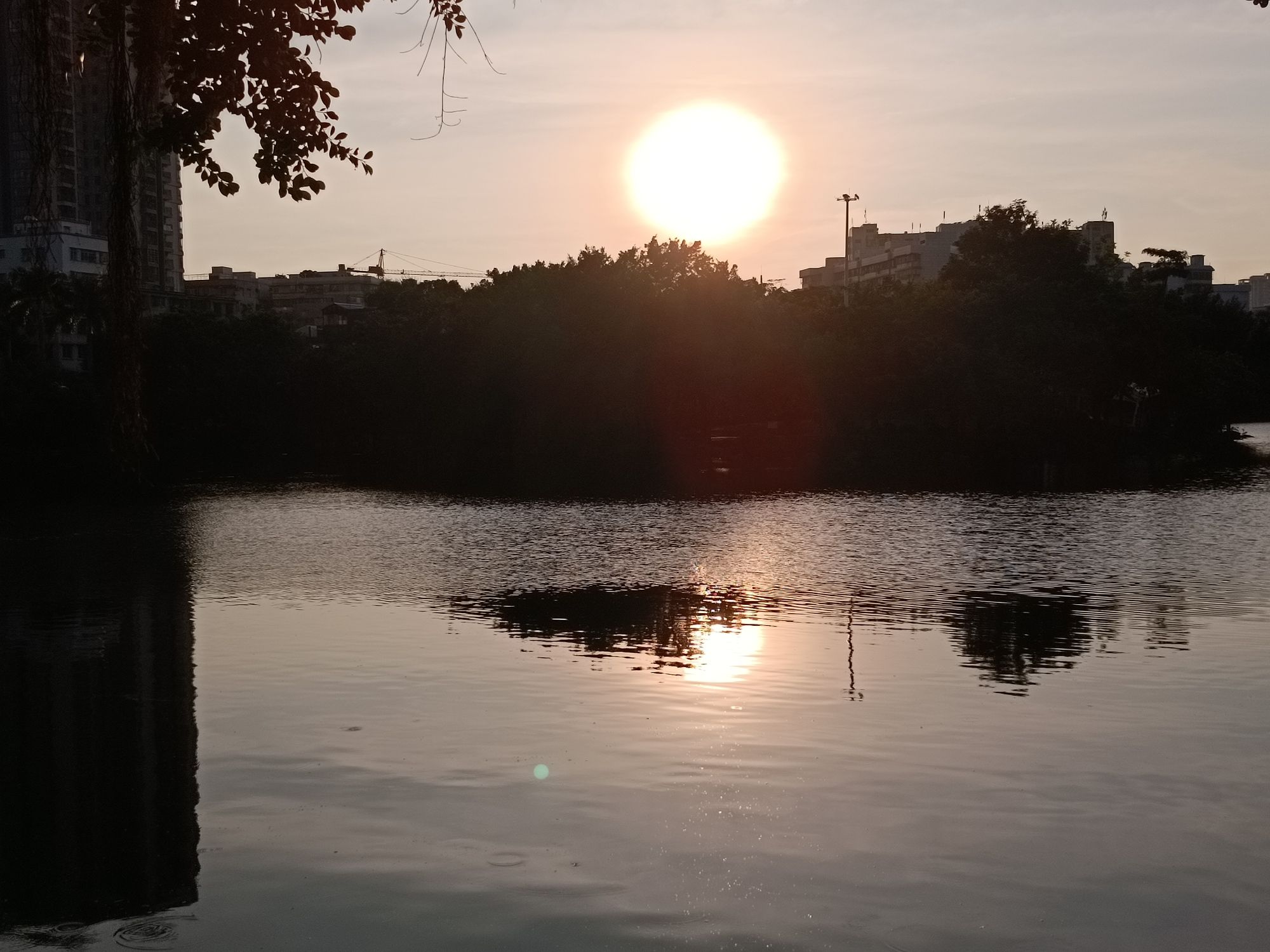 霞湖公园旅行图片 1