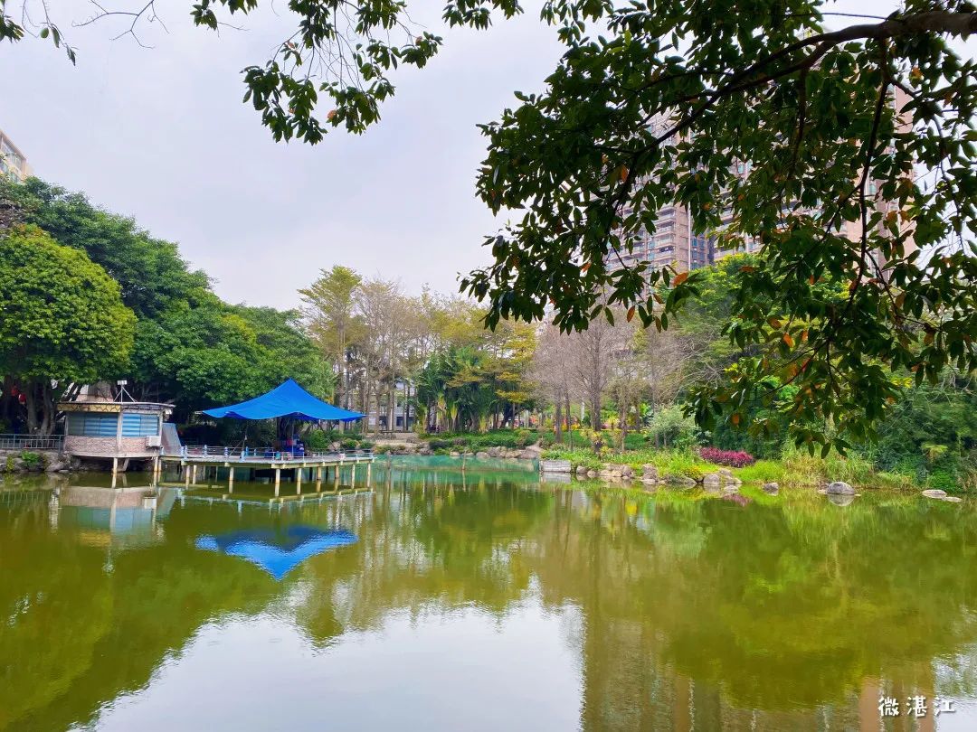 霞湖公园旅行图片 2