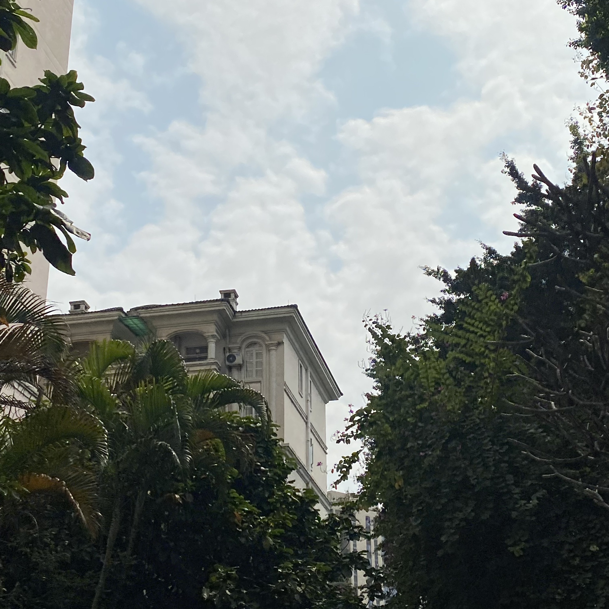 菉塘文化公园旅行图片 2
