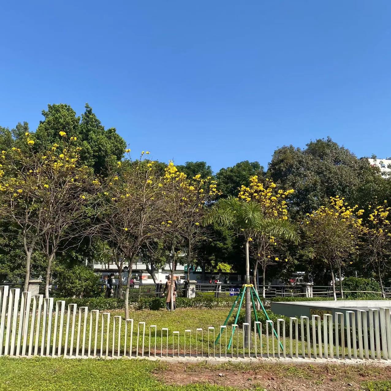 菉塘文化公园旅行图片 1