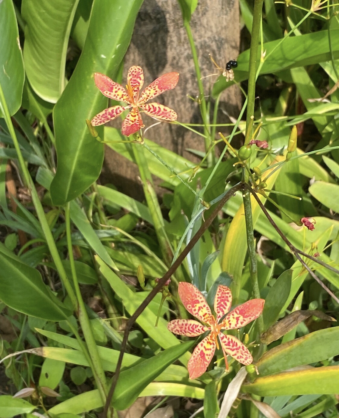 南国热带花园旅行图片 3