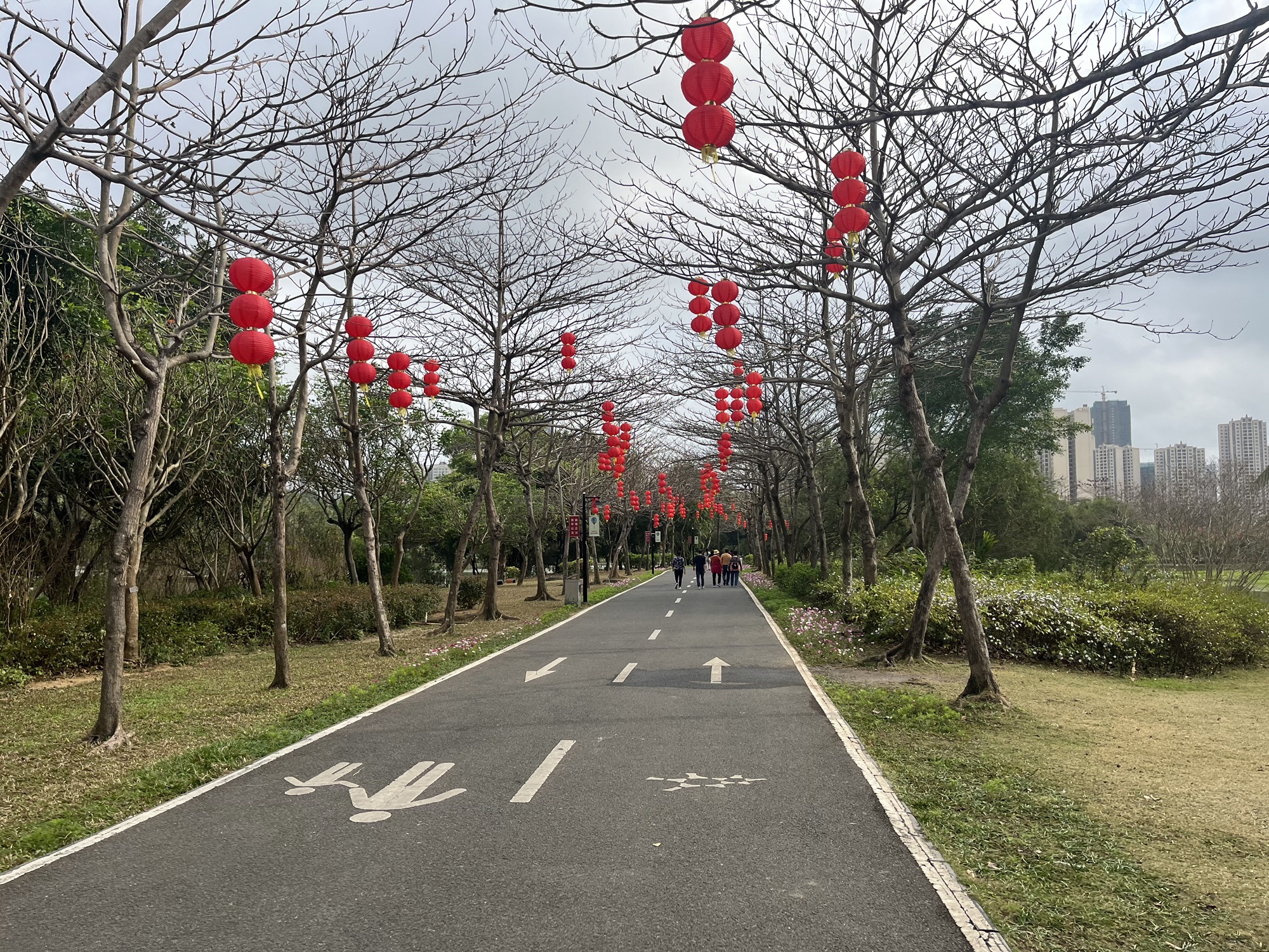 南国热带花园旅行图片 3