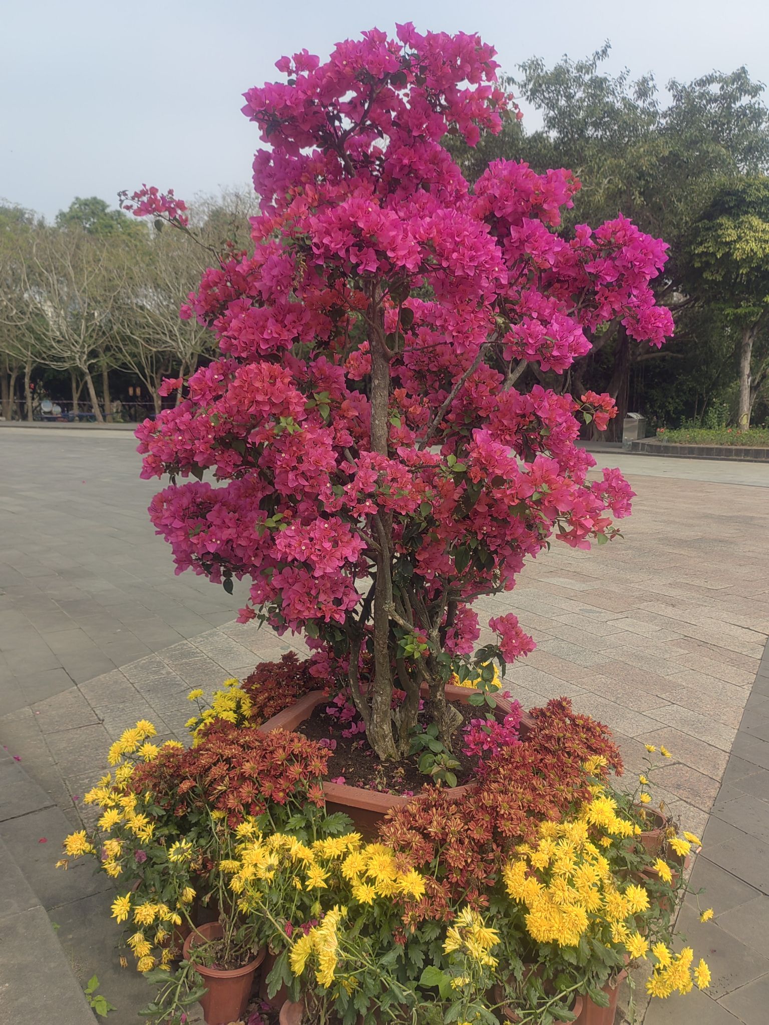 南国热带花园旅行图片 2