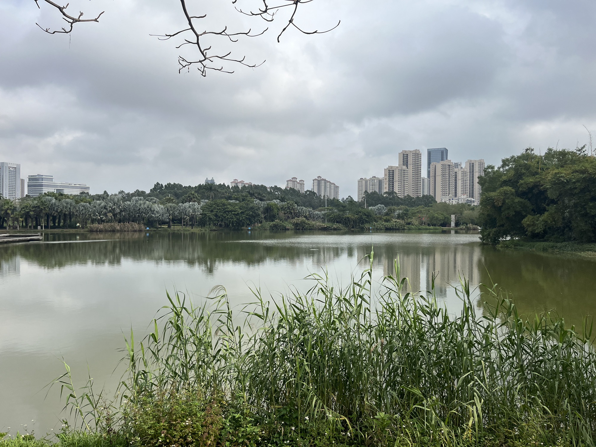 南国热带花园旅行图片 1