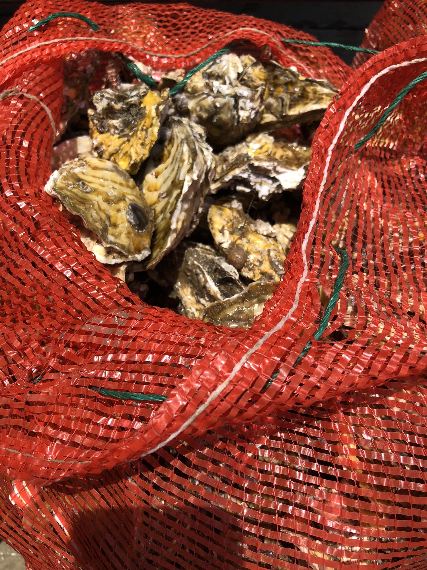 大汉三墩旅游区旅行图片 2
