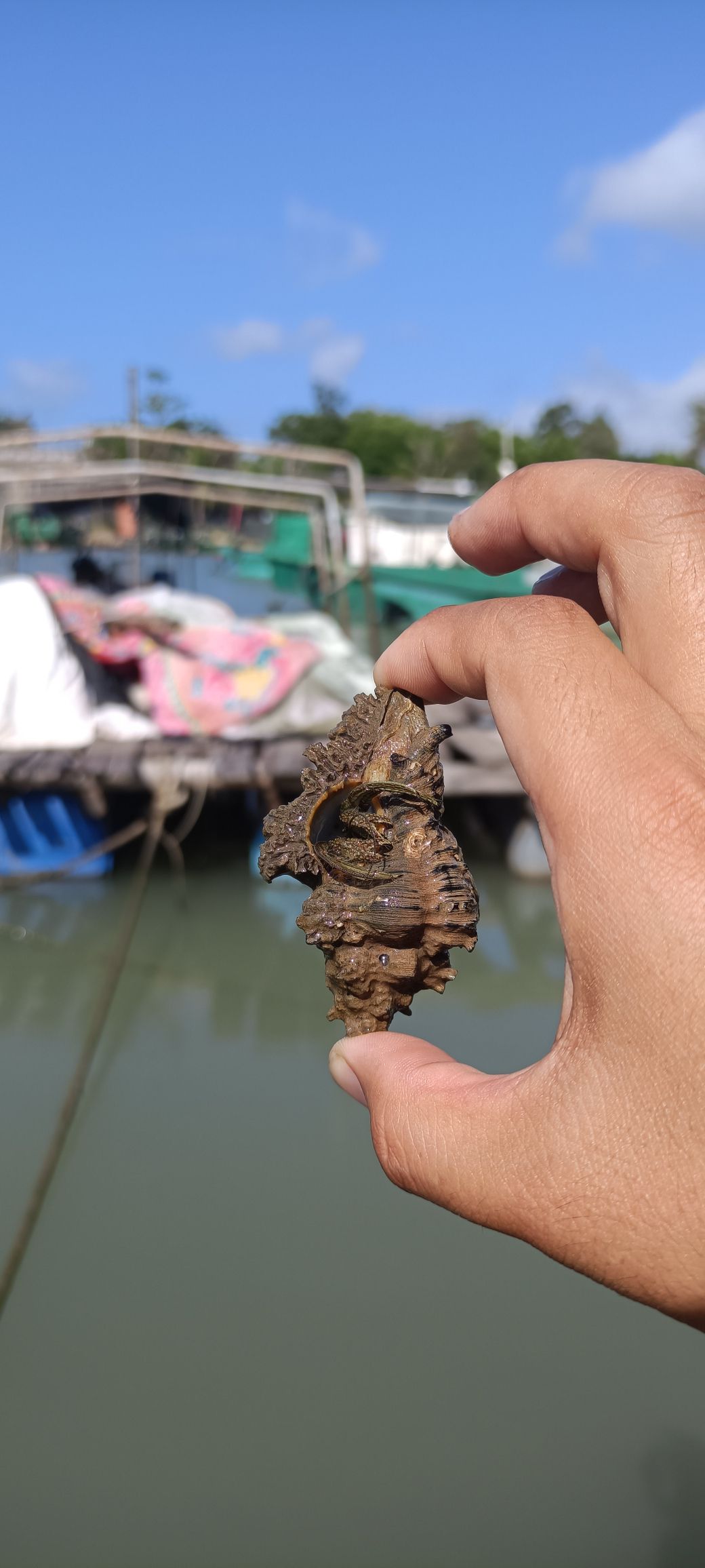 大汉三墩旅游区旅行图片 2