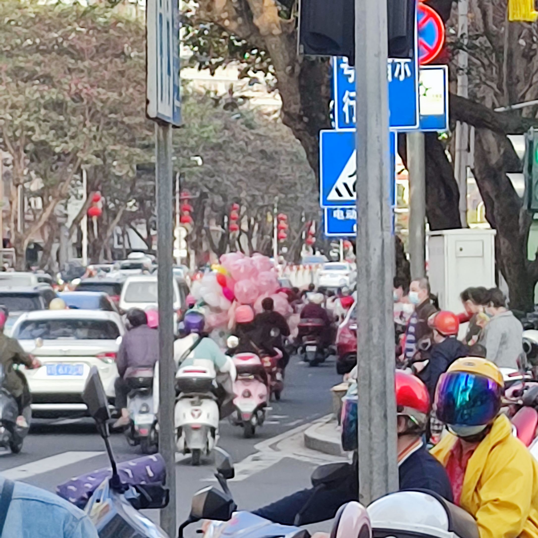 北桥公园旅行图片 1