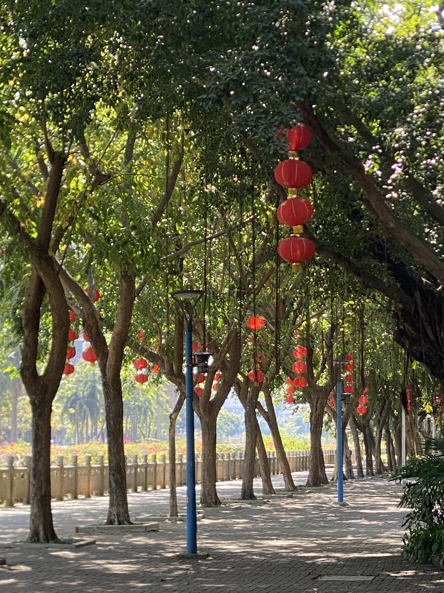 北桥公园旅行图片 1