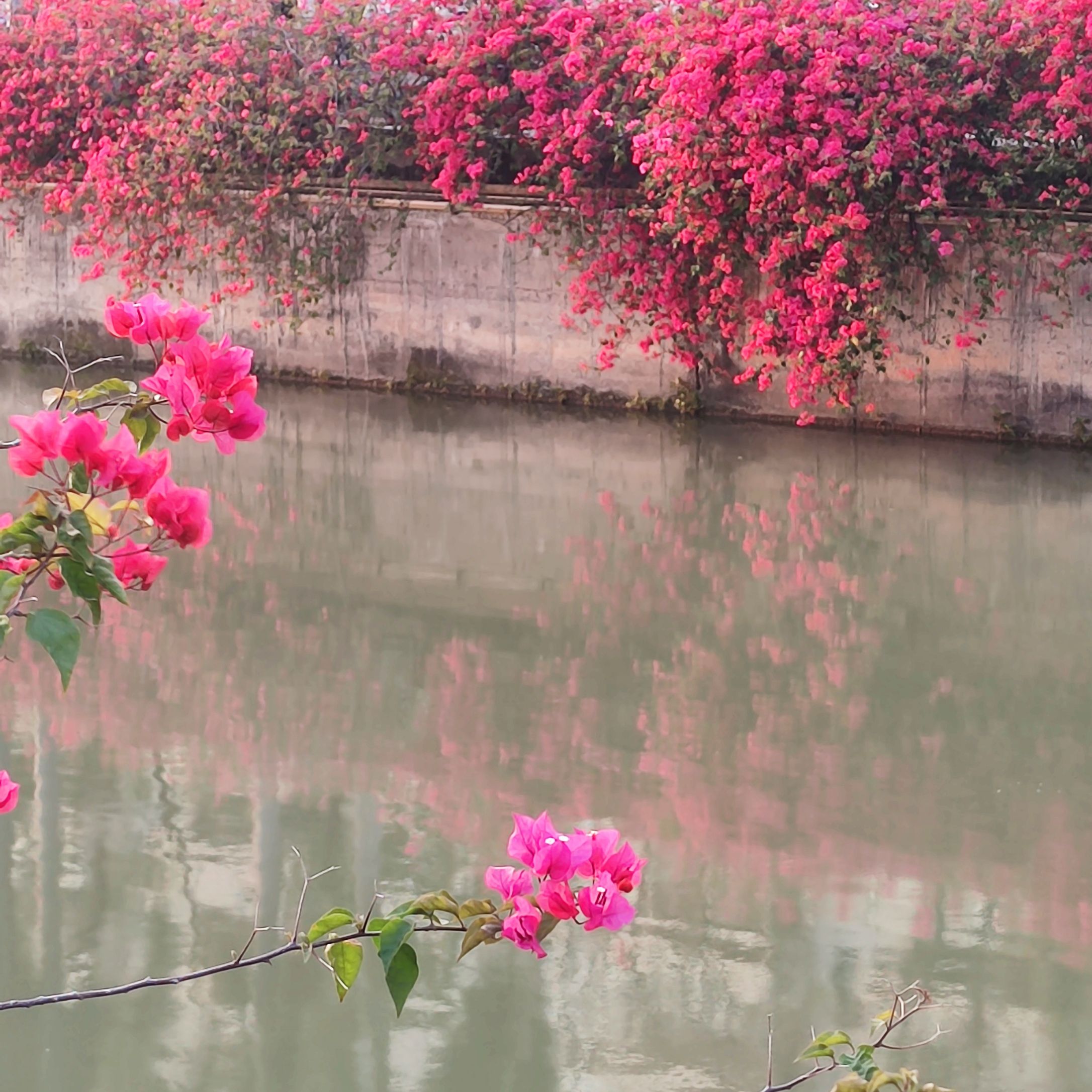 北桥公园旅行图片 3