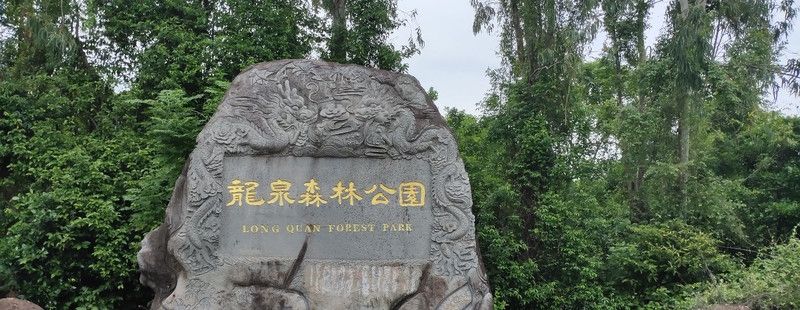龙泉森林公园旅行图片 1