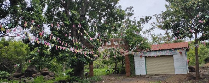 龙泉森林公园旅行图片 3
