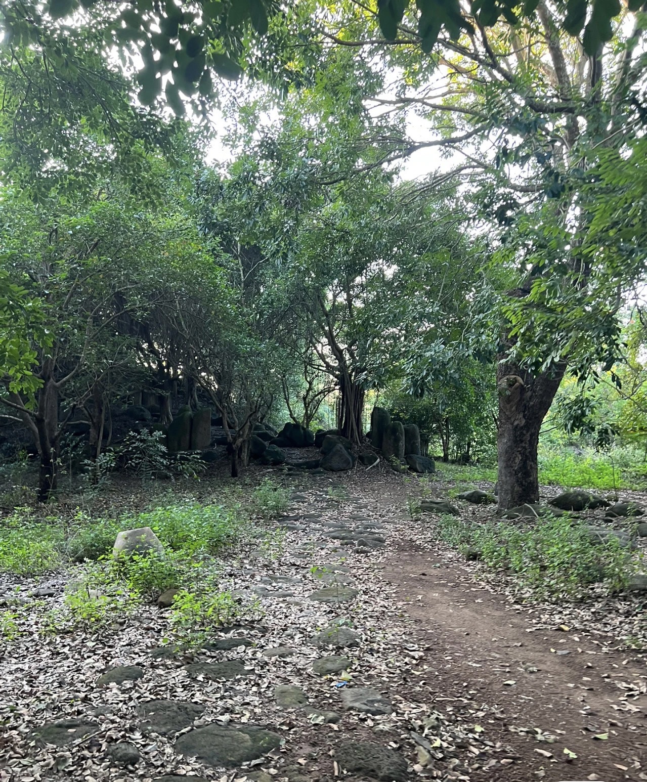 龙泉森林公园旅行图片 2