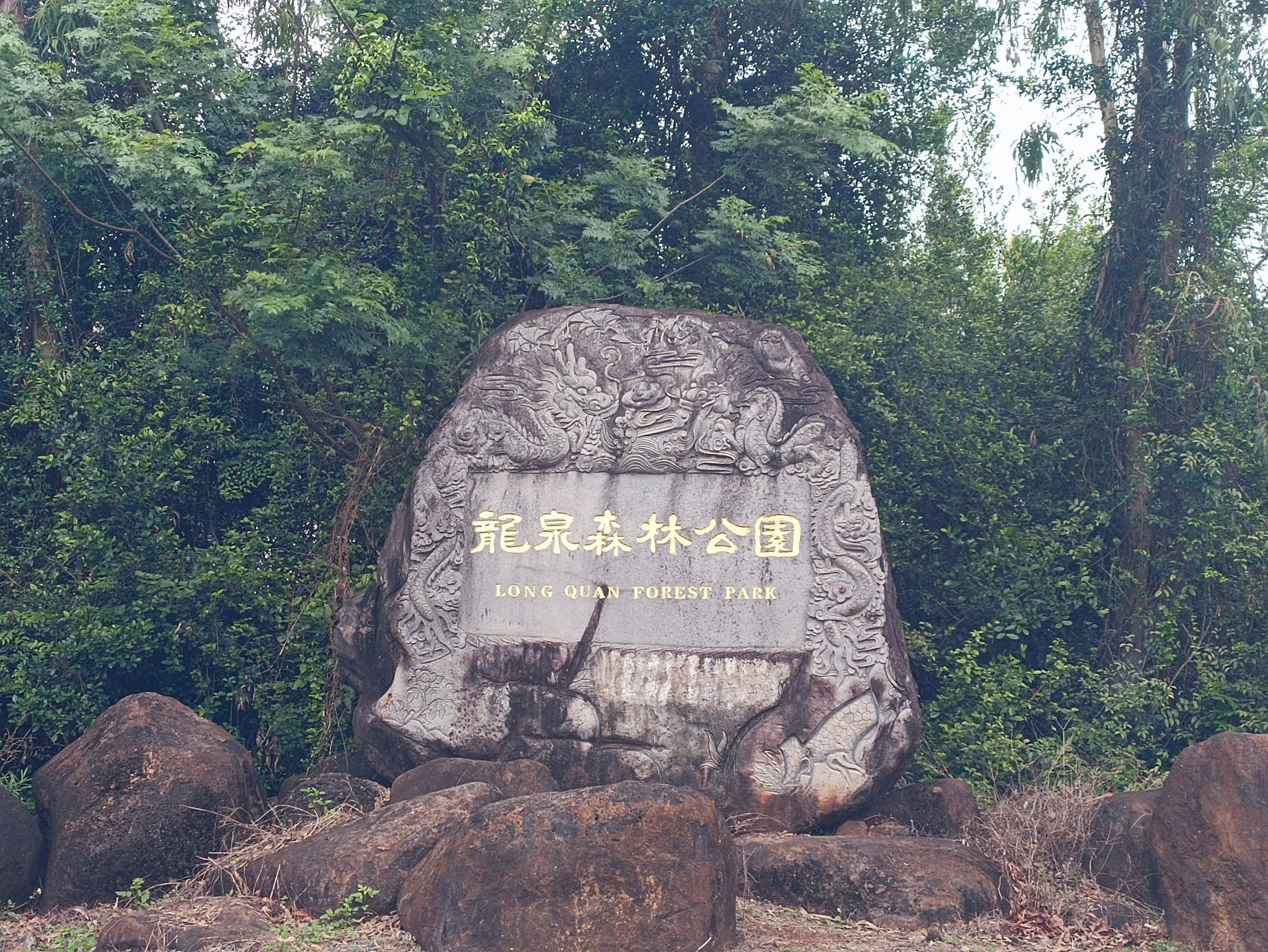 龙泉森林公园旅行图片 1