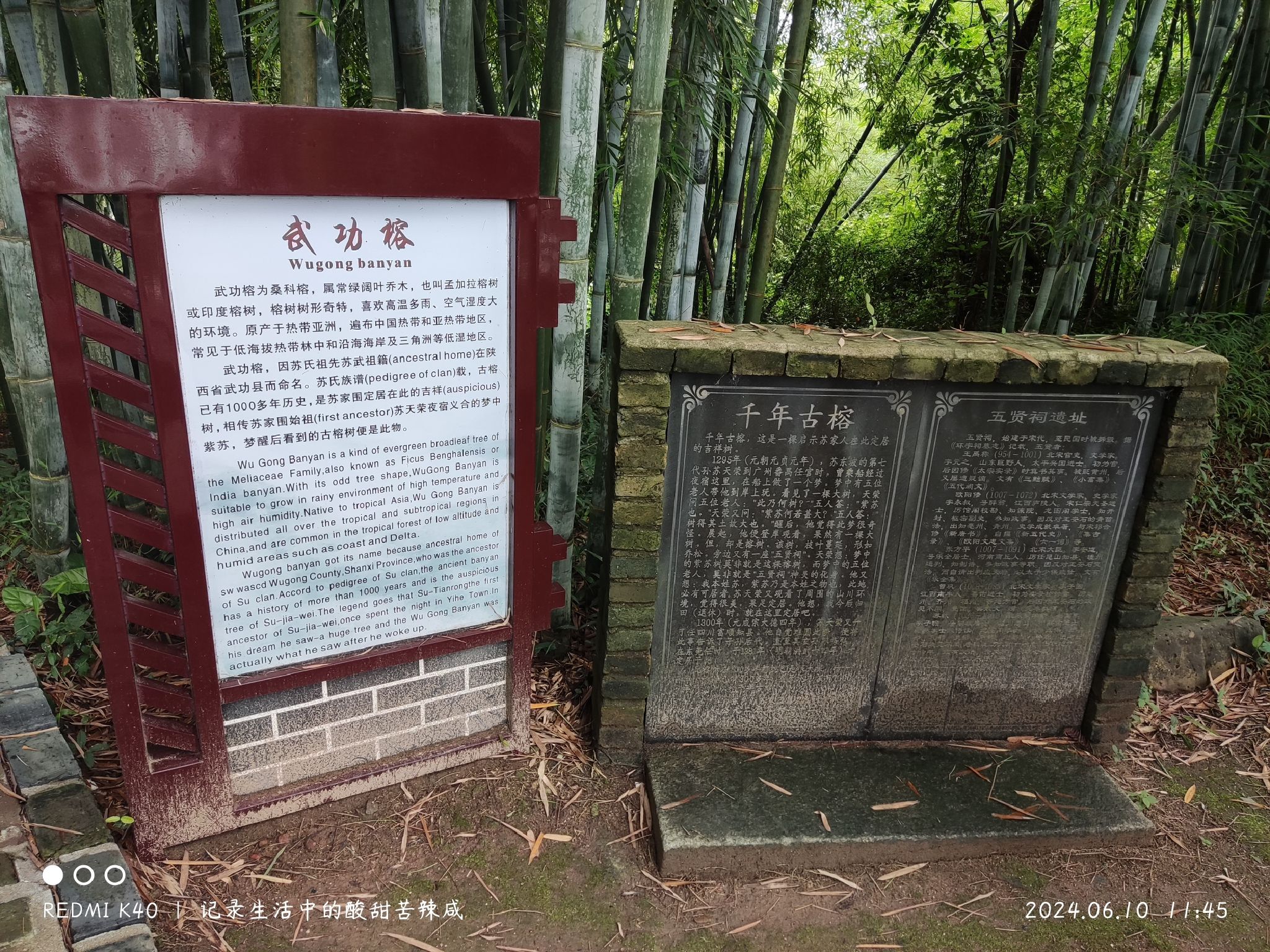 苏家围客家乡村旅游区旅行图片 1