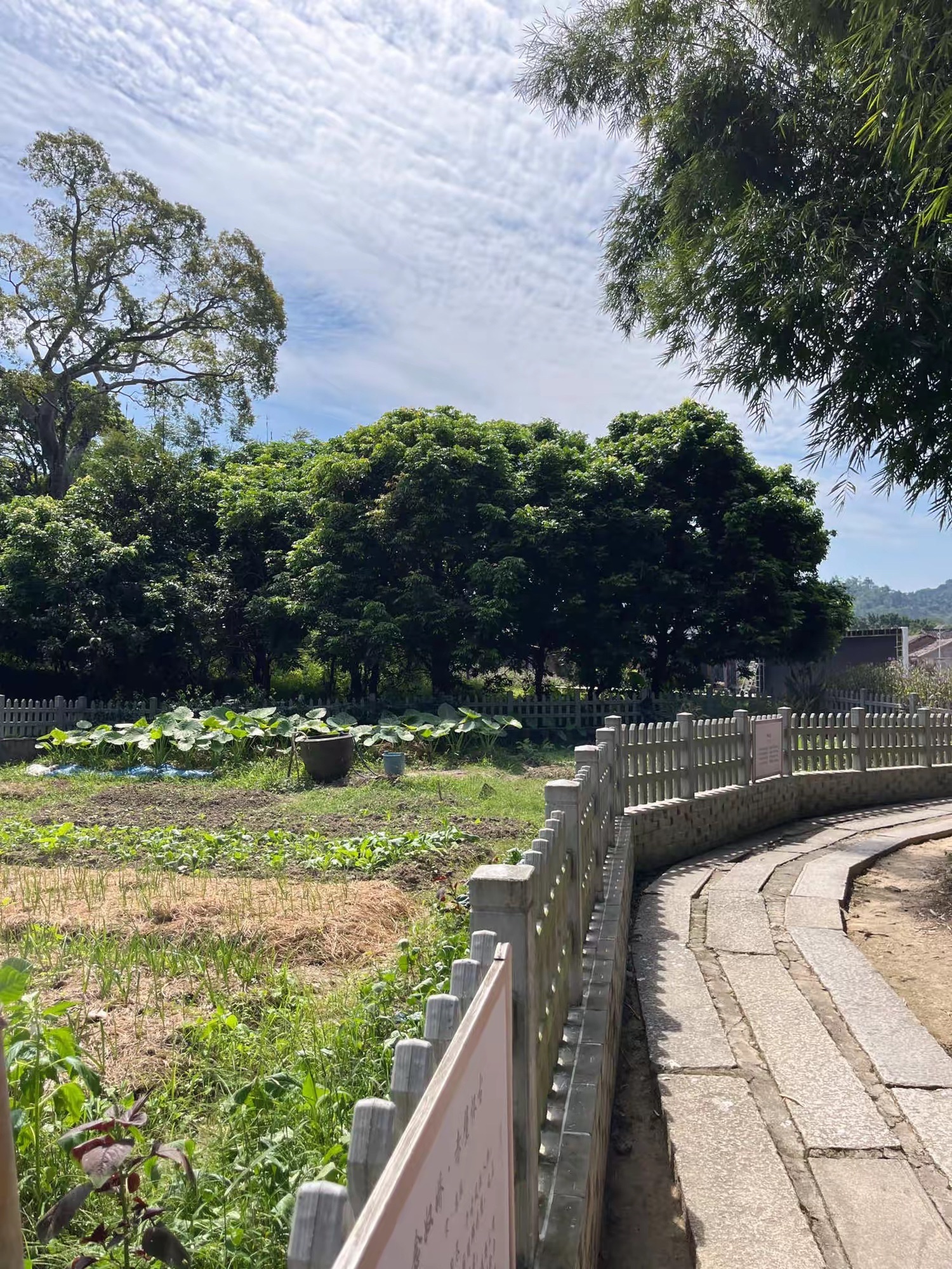 苏家围客家乡村旅游区旅行图片 1
