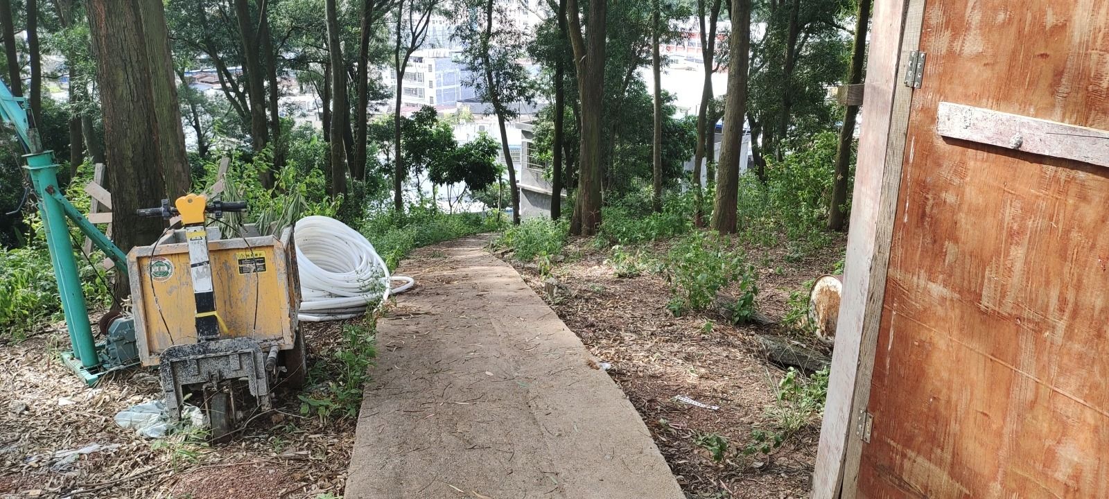 松林公园旅行图片 2