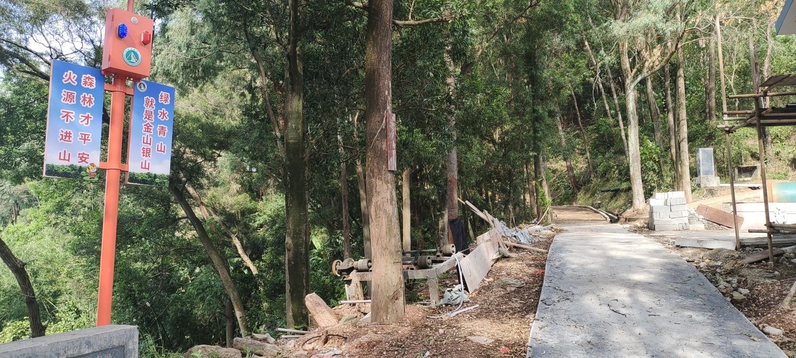 松林公园旅行图片 1