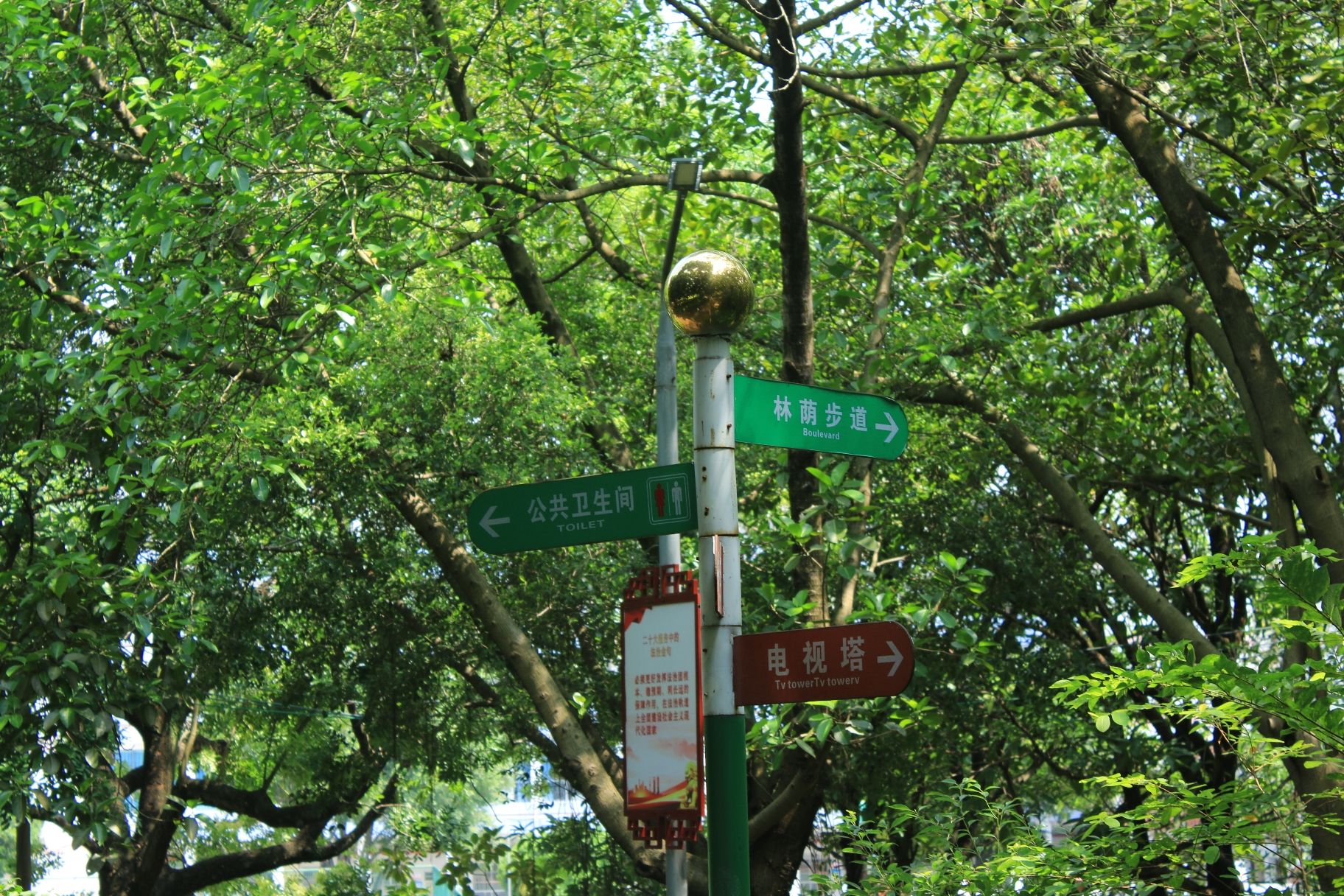 茶山公园旅行图片 3