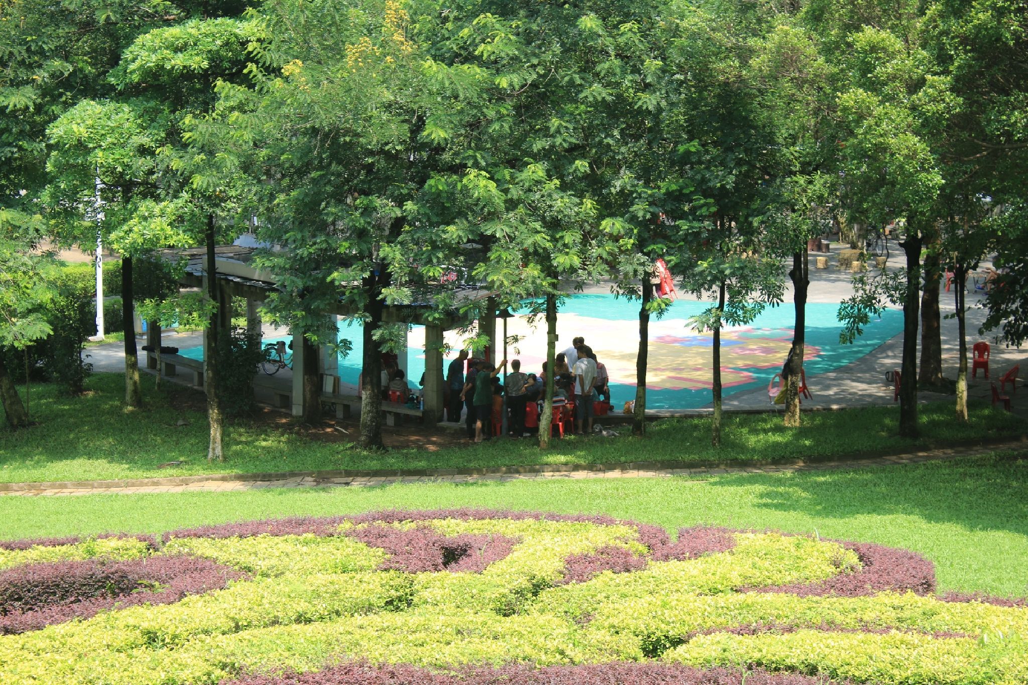 茶山公园旅行图片 1