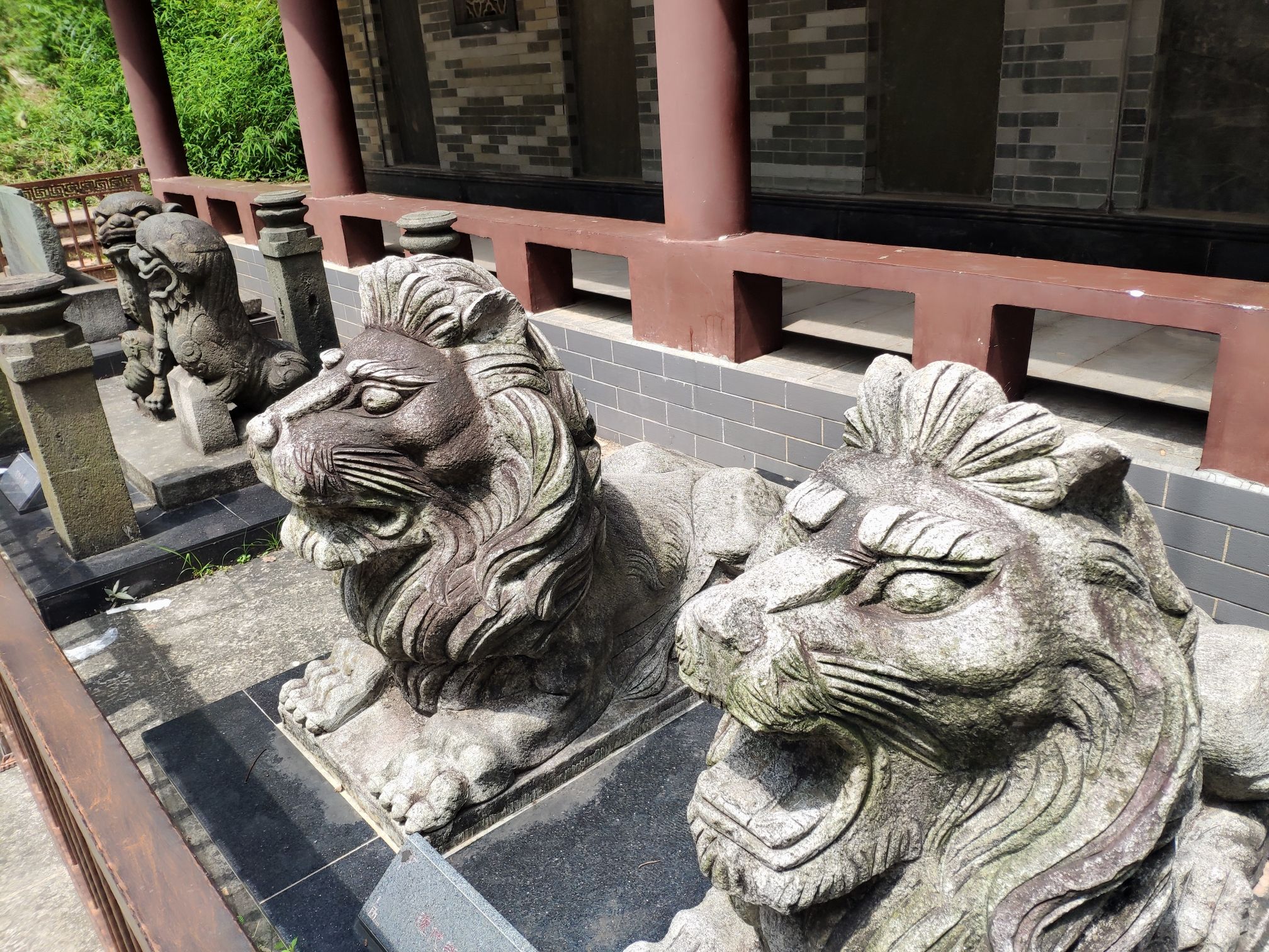 南山公园旅行图片 2