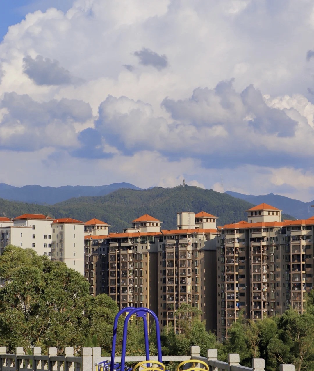 南山公园旅行图片 2