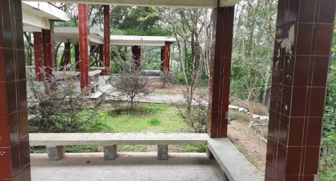 南山公园旅行图片 1