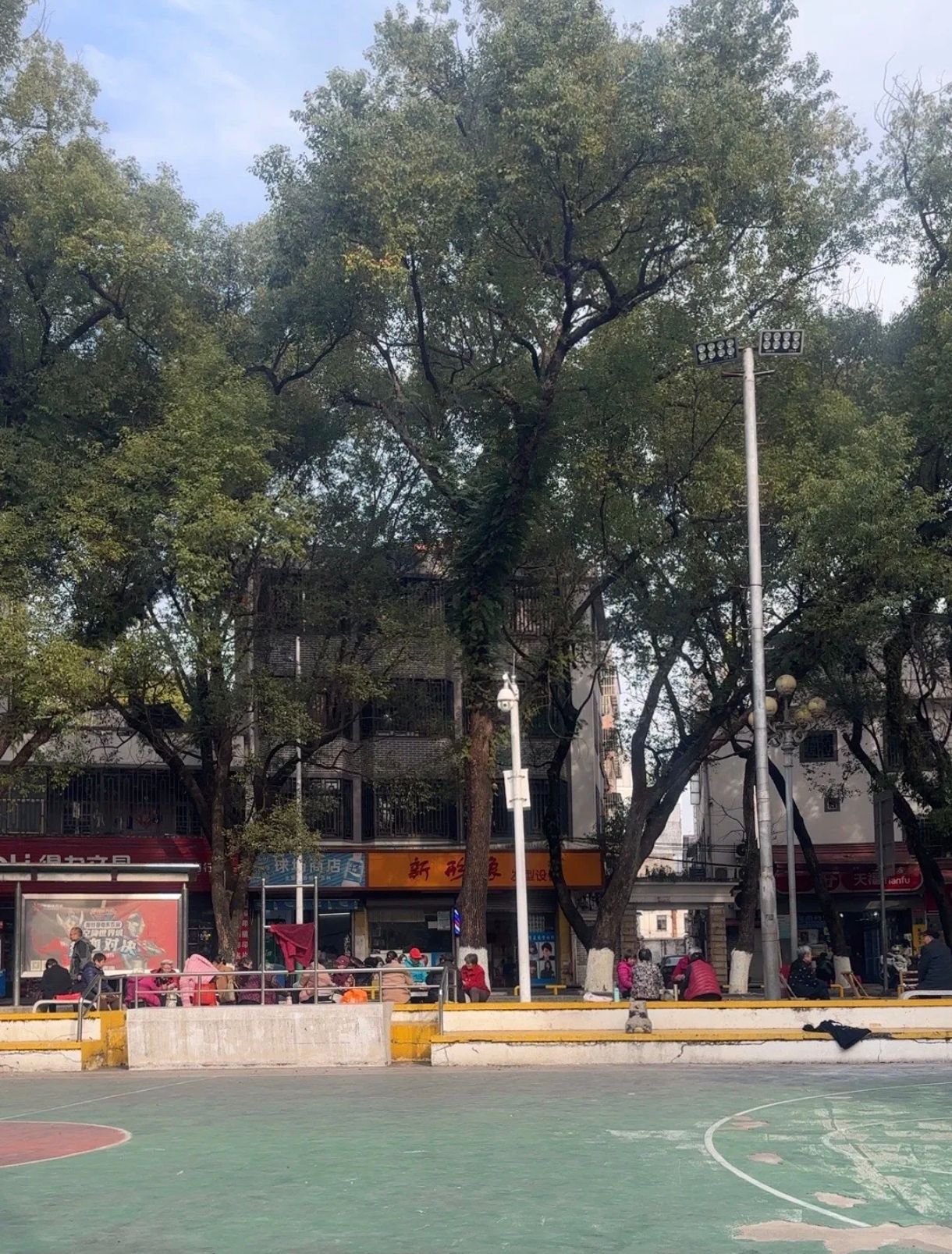 人民公园旅行图片 1