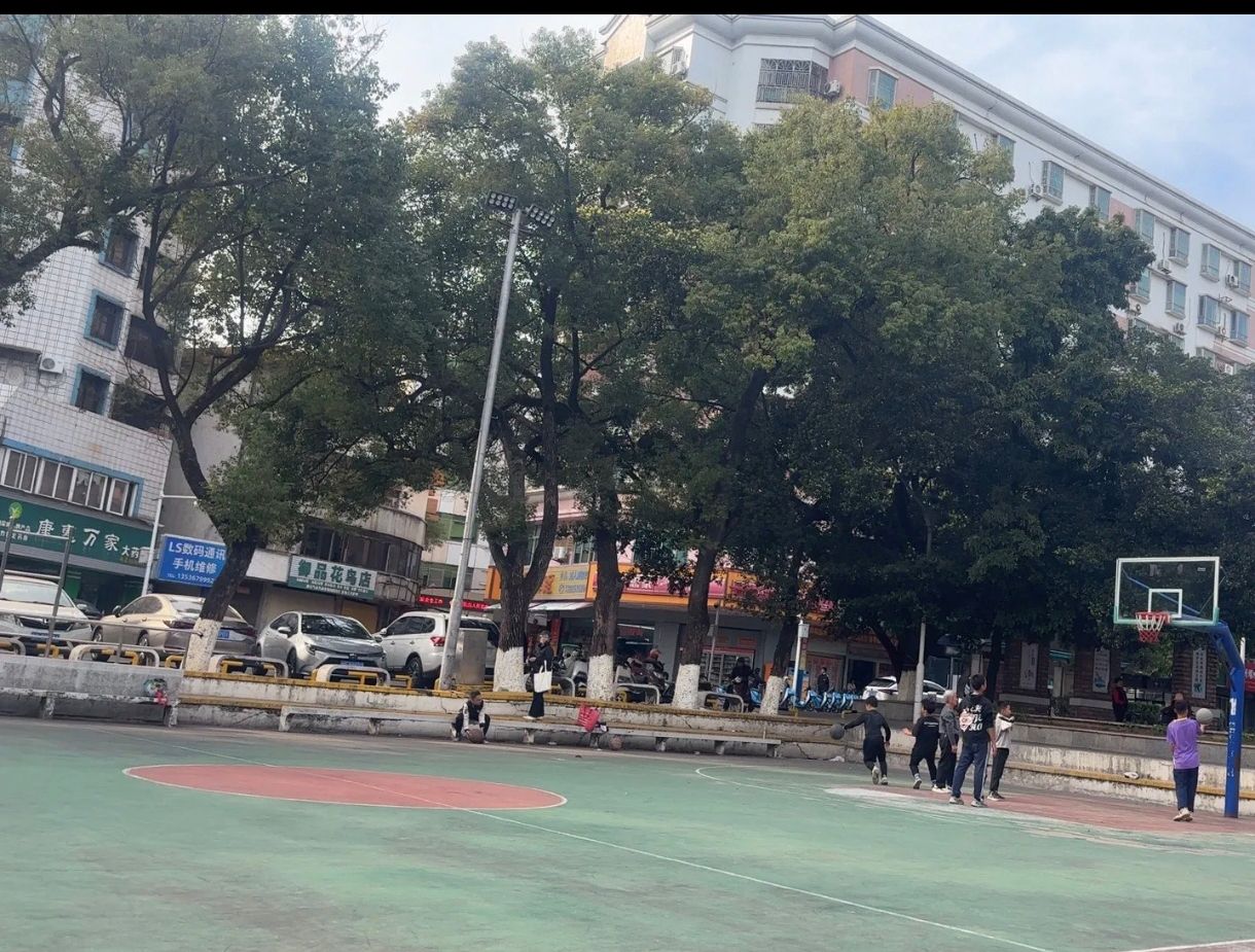 人民公园旅行图片 3