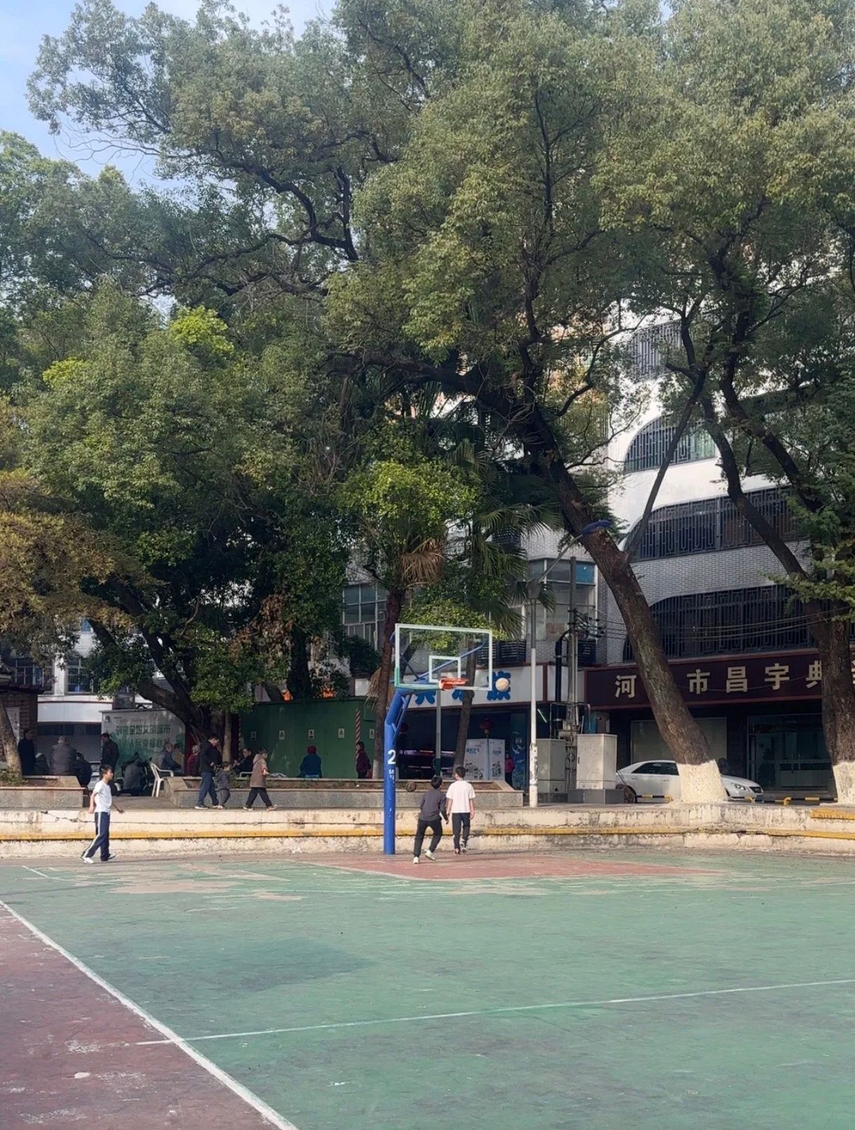 人民公园旅行图片 2