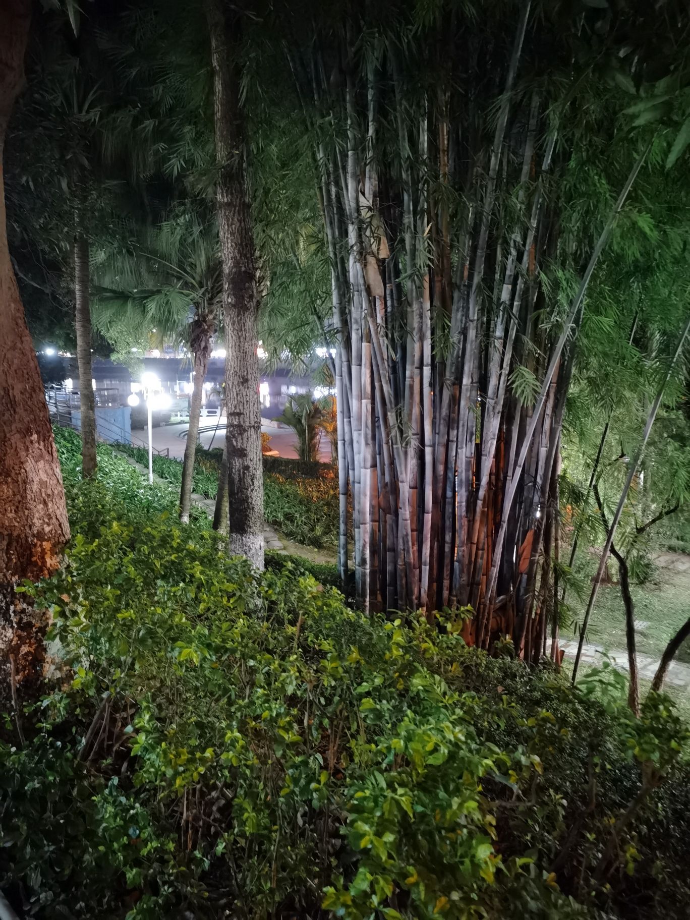 九重门公园旅行图片 2