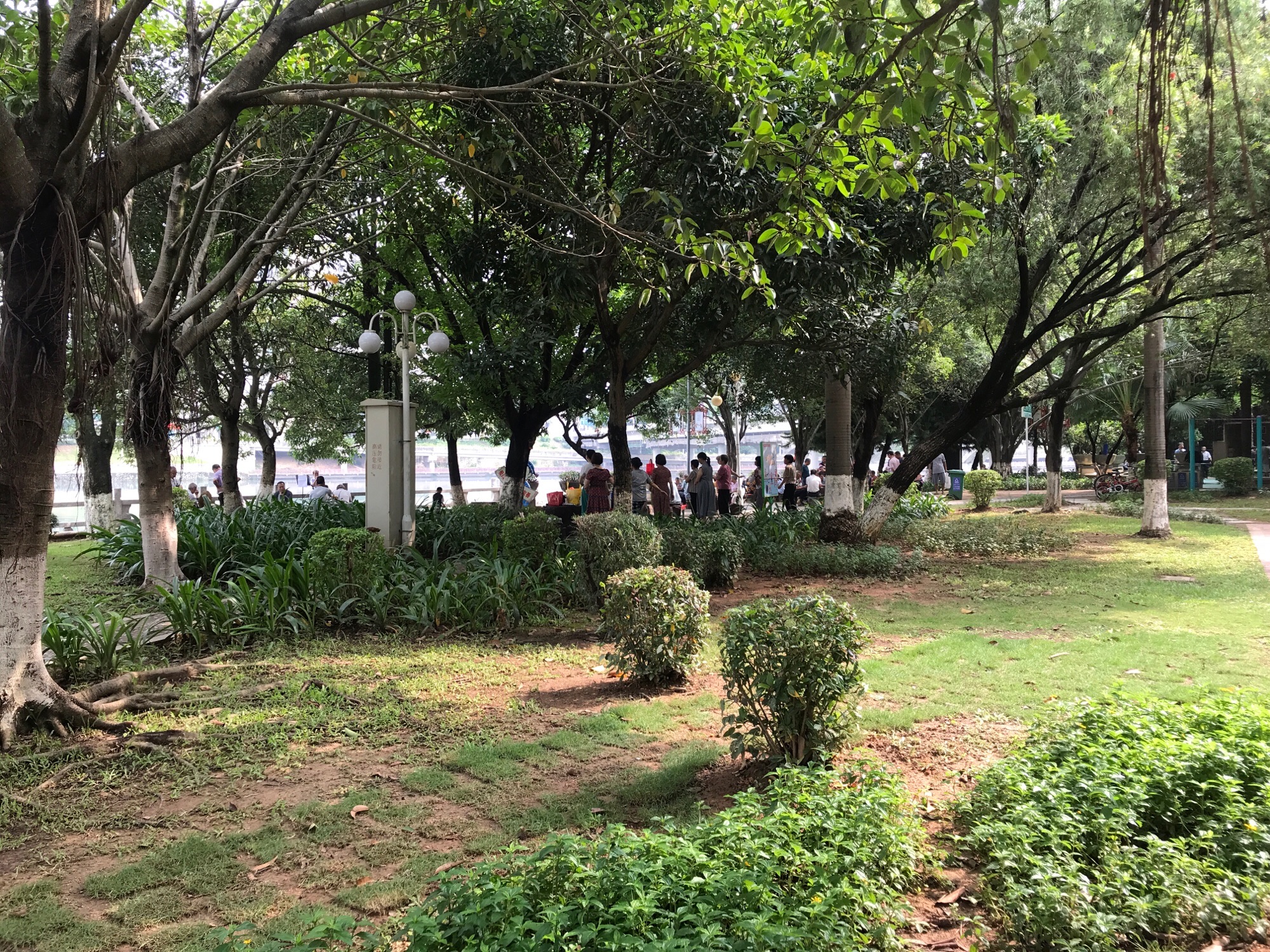 九重门公园旅行图片 3