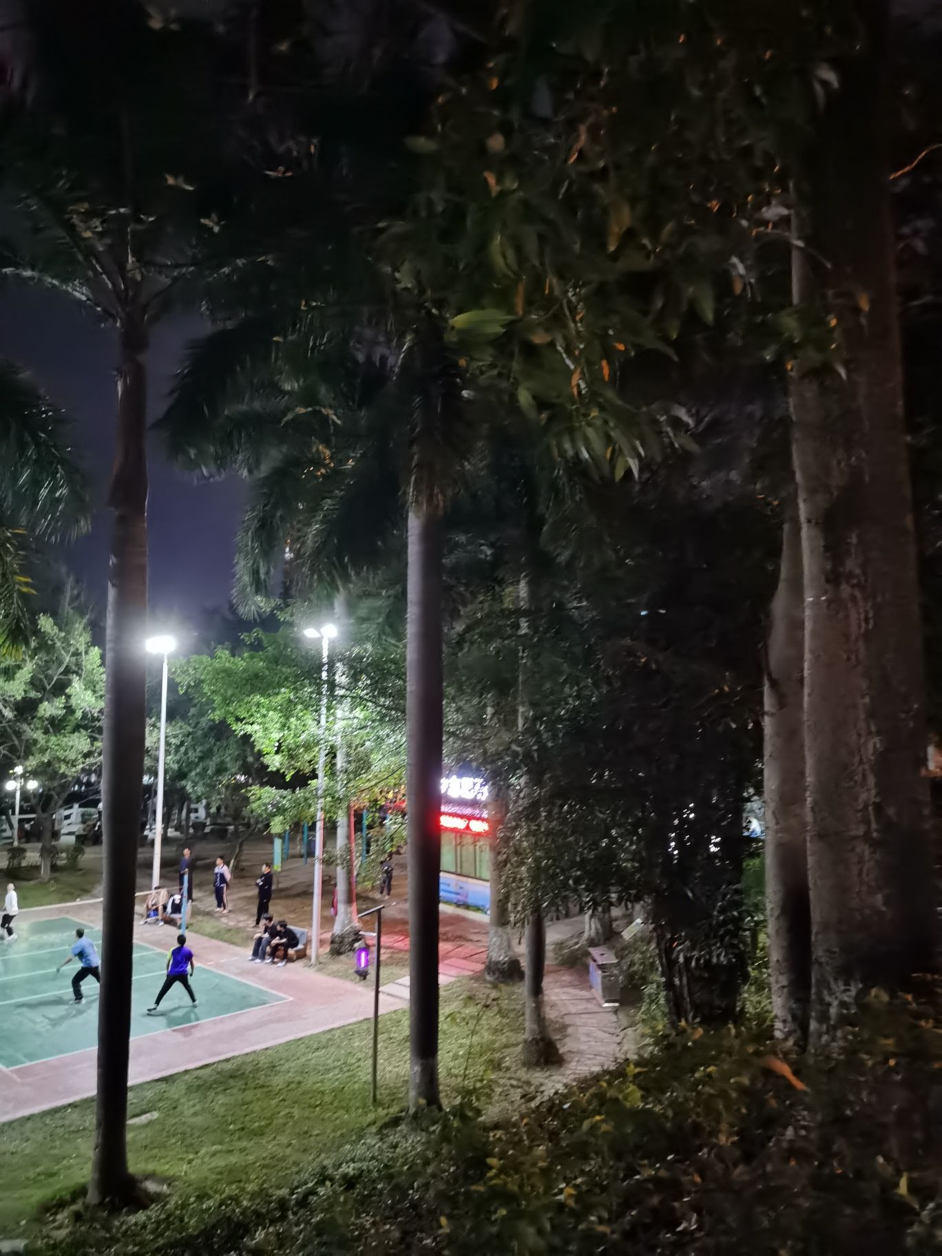 九重门公园旅行图片 3