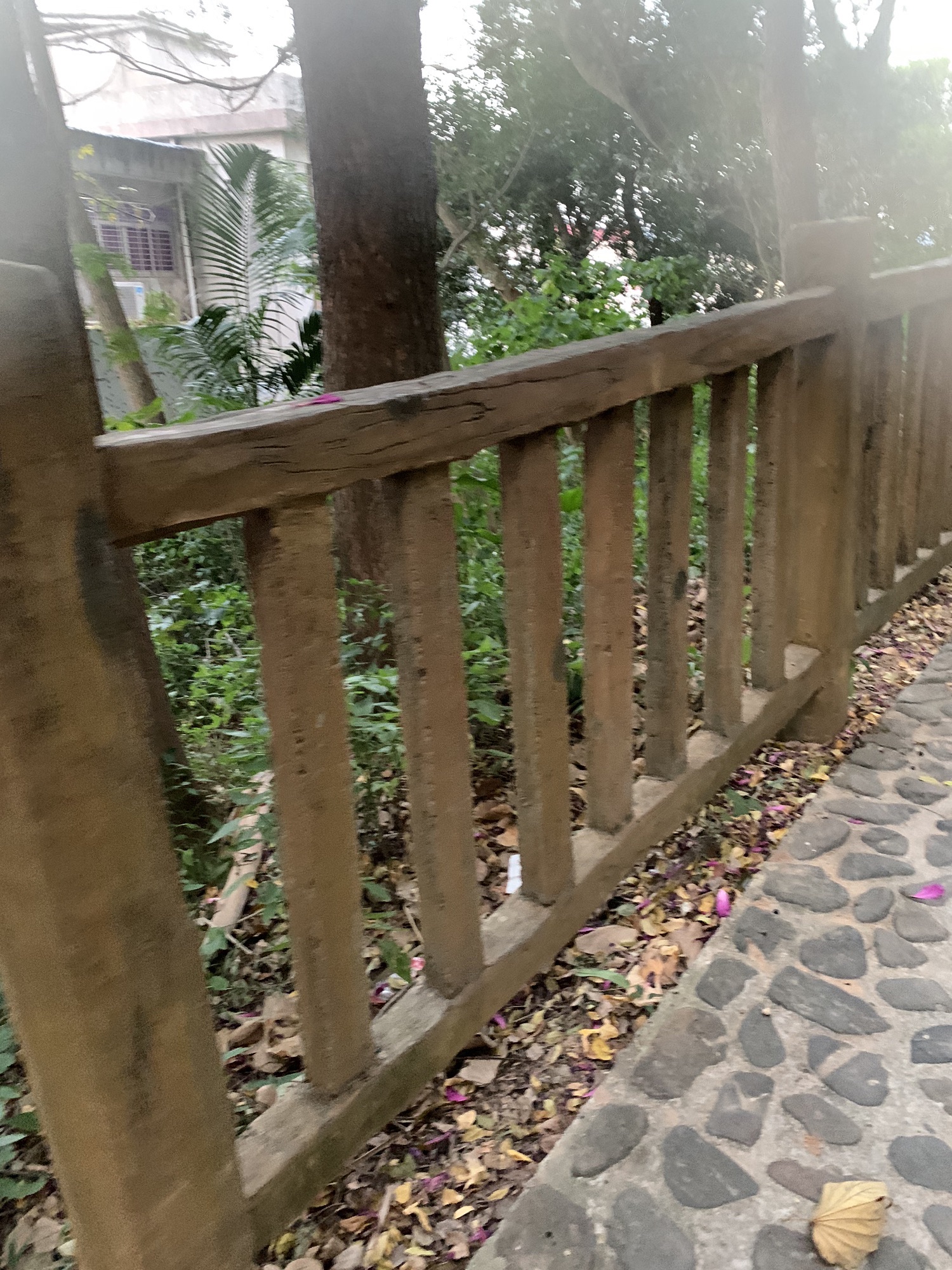 中山公园旅行图片 3
